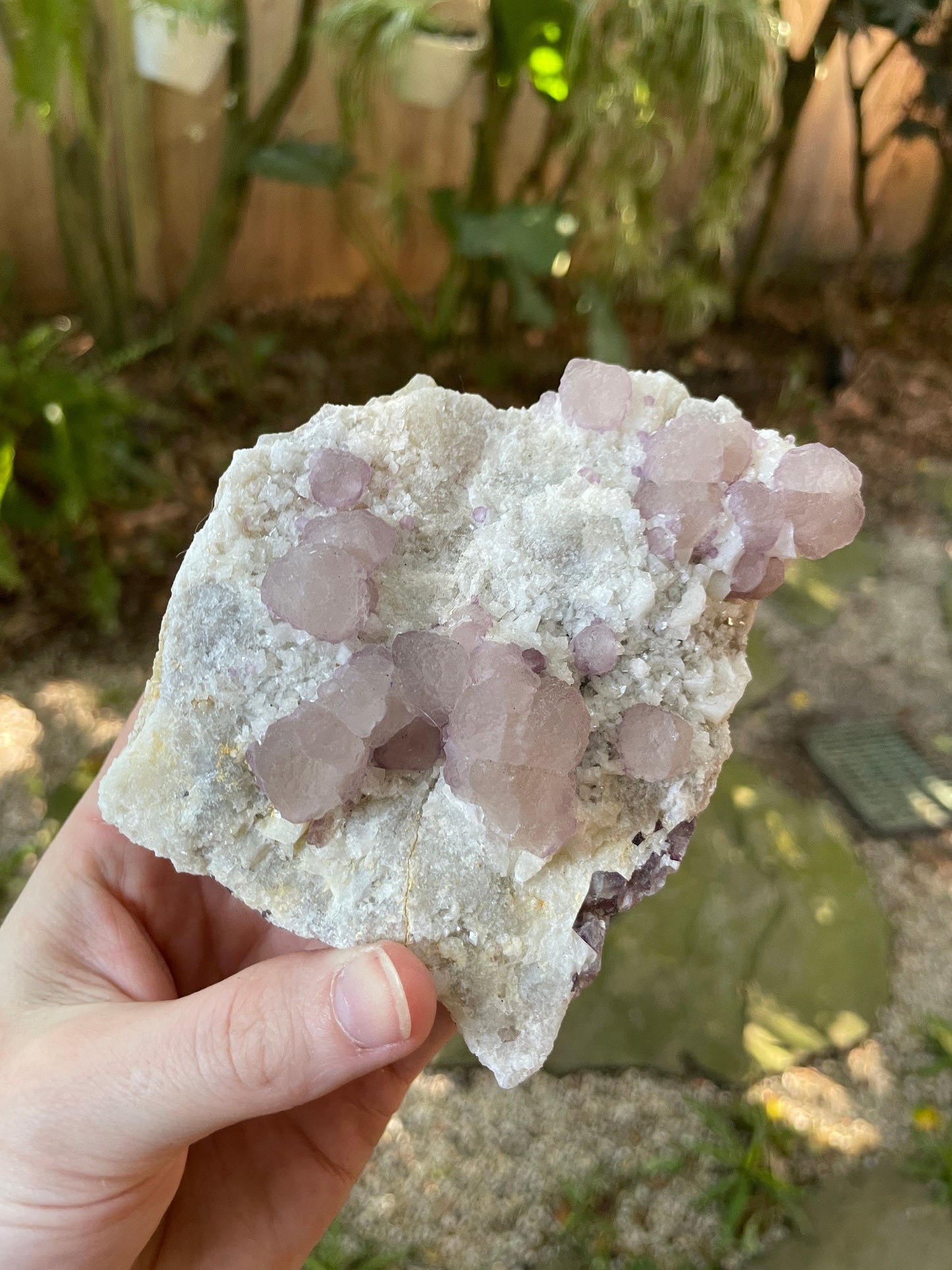 Purple Fluorite 254g Specimen from Durango, Mexico Specimen Crystal Mineral
