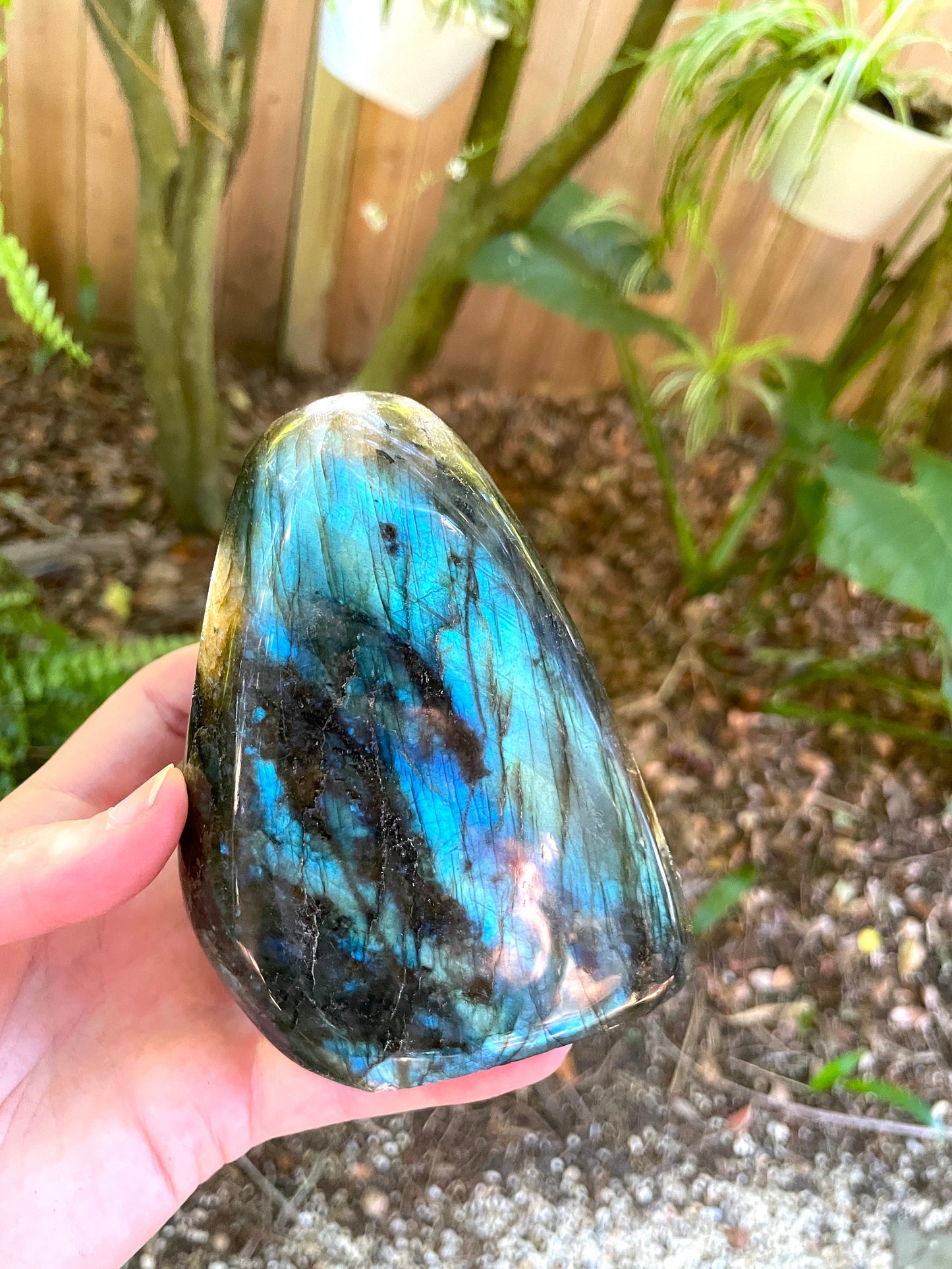 Large Polished Labradorite Freestanding Display Stone 778g 1lb 118.8oz Great Blue Flash