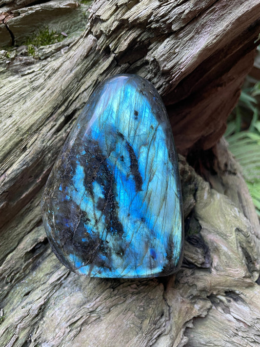 Large Polished Labradorite Freestanding Display Stone 778g 1lb 118.8oz Great Blue Flash