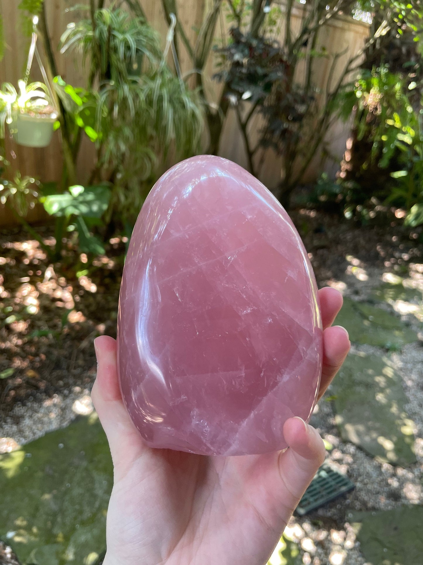 Polished Rose Quartz Free From Madagascar 992g 2lbs 3oz Specimen
