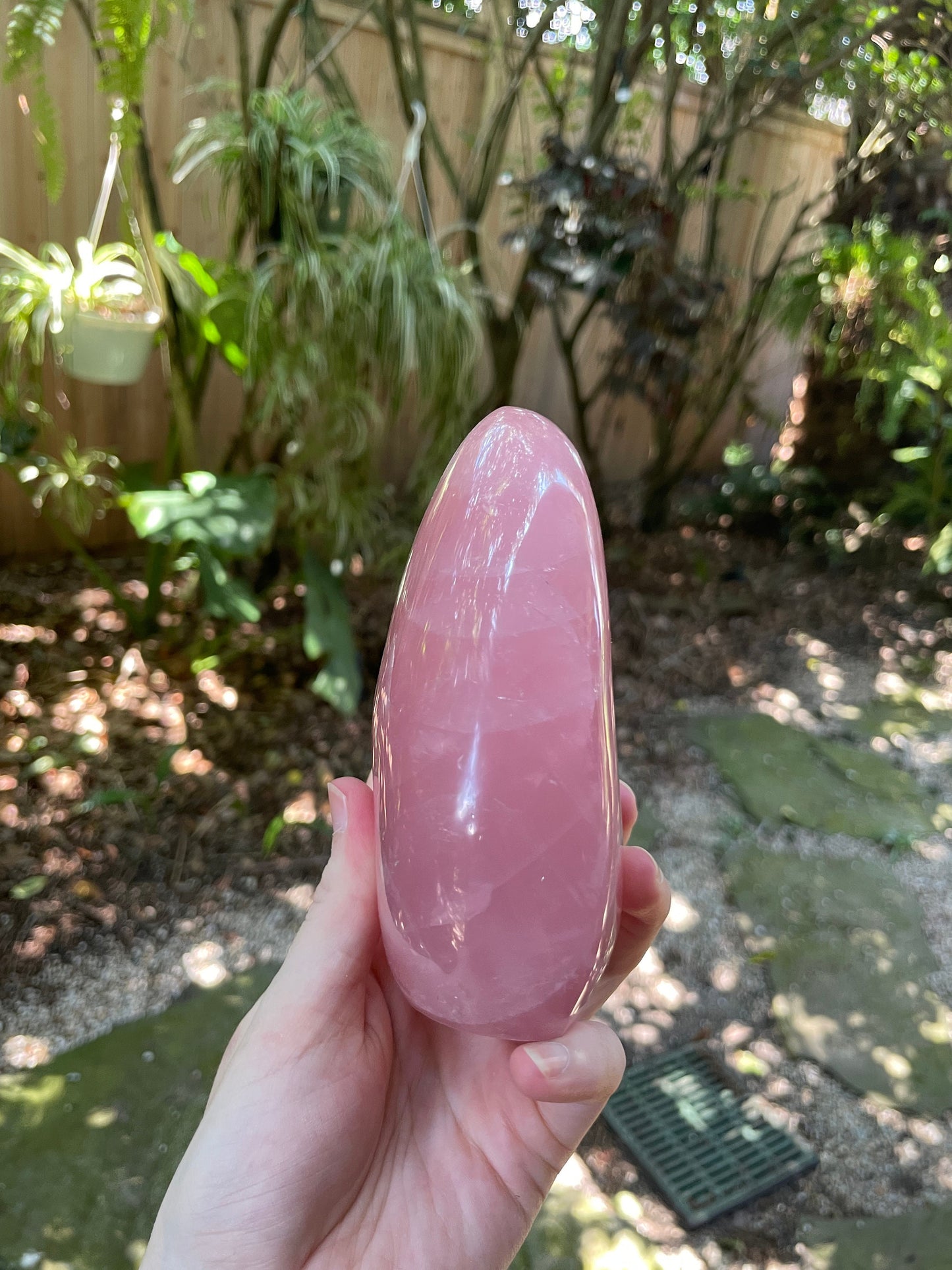 Polished Rose Quartz Free From Madagascar 992g 2lbs 3oz Specimen