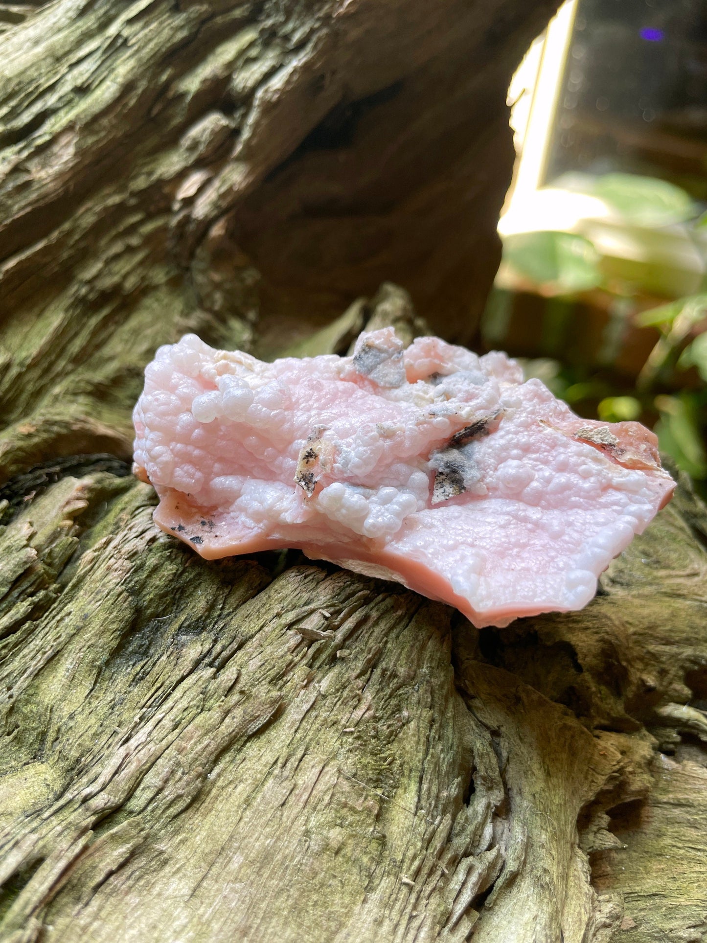 Rare Botryoidal Natural Pink Opal from Ica, Peru Specimen 89.7g Mineral Crystal