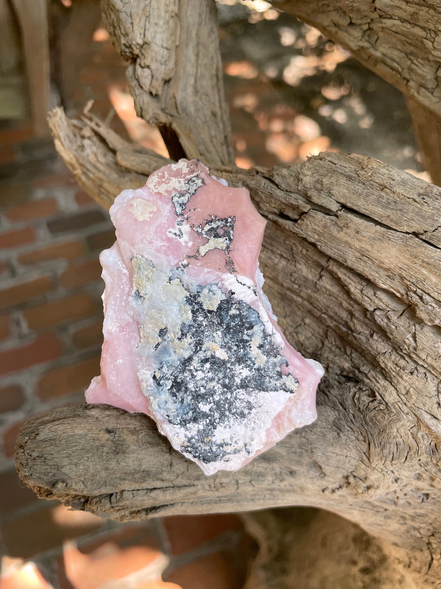 Rare Botryoidal Natural Pink Opal from Ica, Peru Specimen 89.7g Mineral Crystal