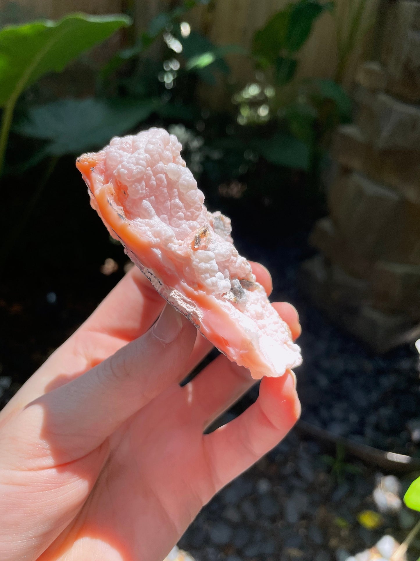 Rare Botryoidal Natural Pink Opal from Ica, Peru Specimen 89.7g Mineral Crystal