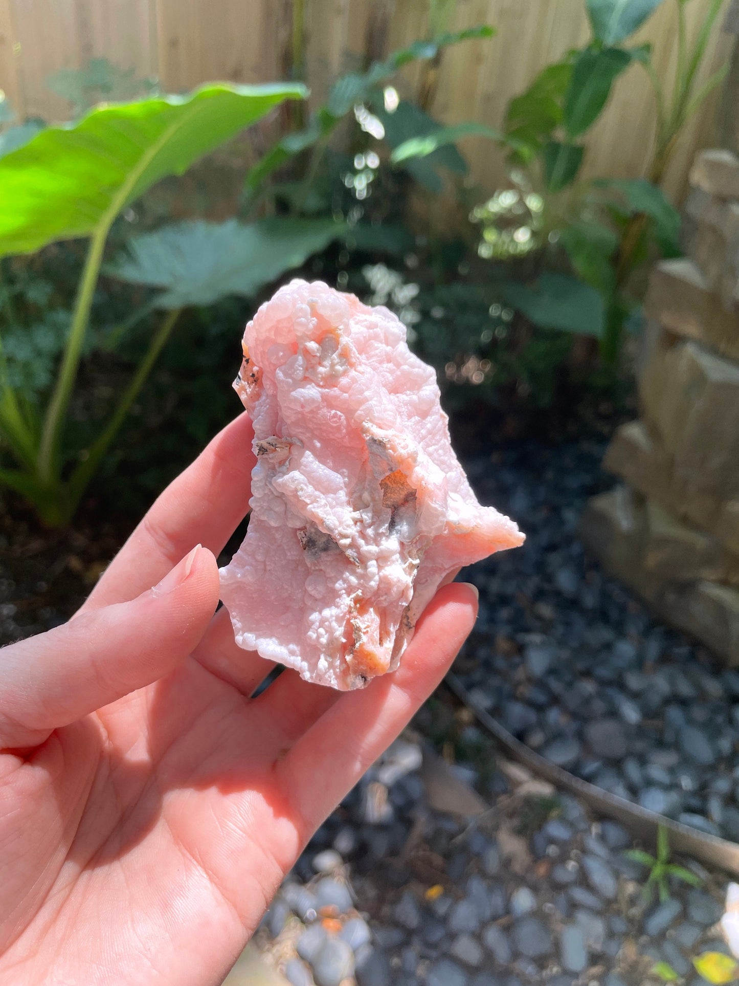 Rare Botryoidal Natural Pink Opal from Ica, Peru Specimen 89.7g Mineral Crystal