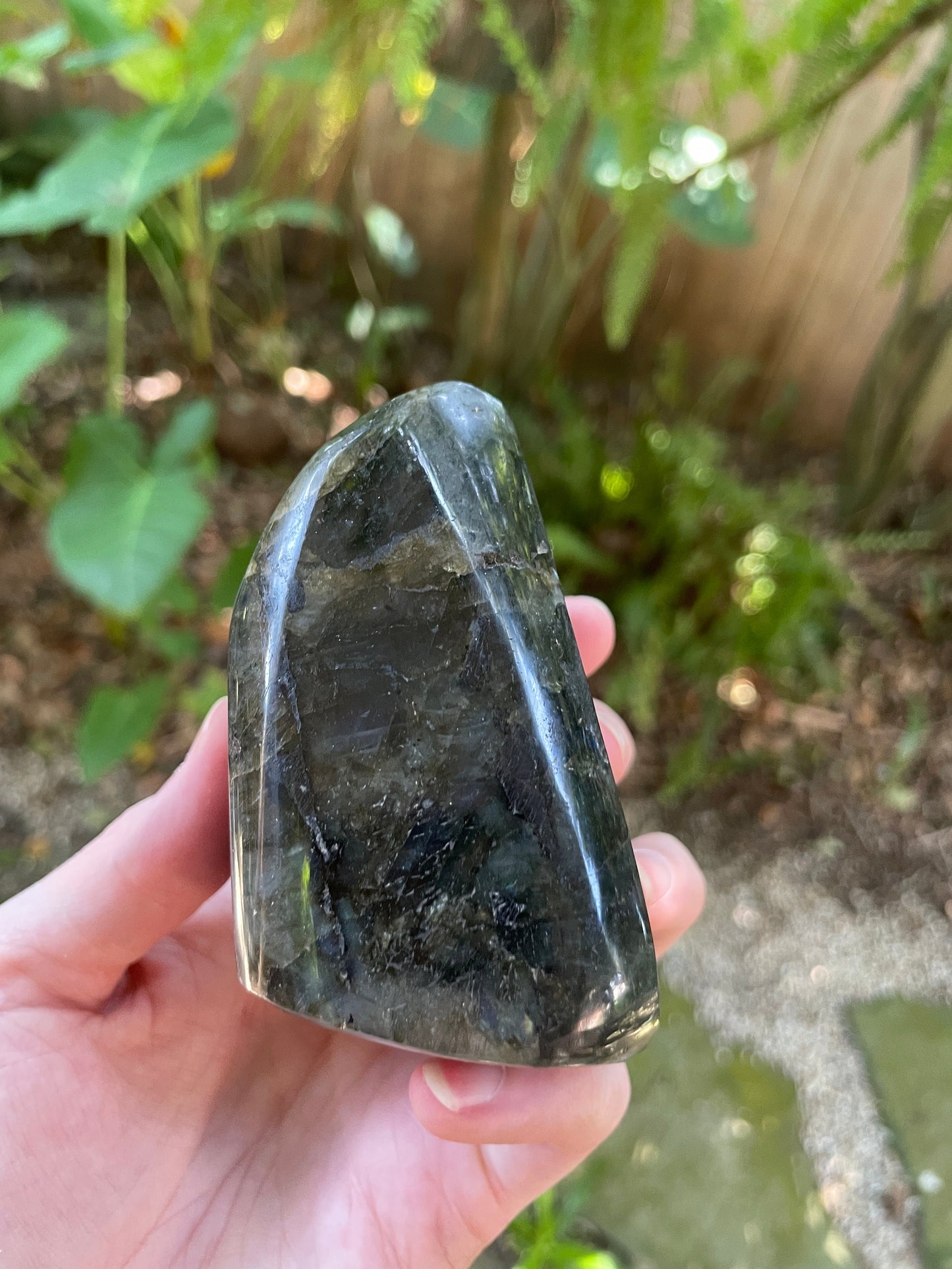 Polished Rainbow Labradorite Free Form 456g From Madagascar Mineral Crystal
