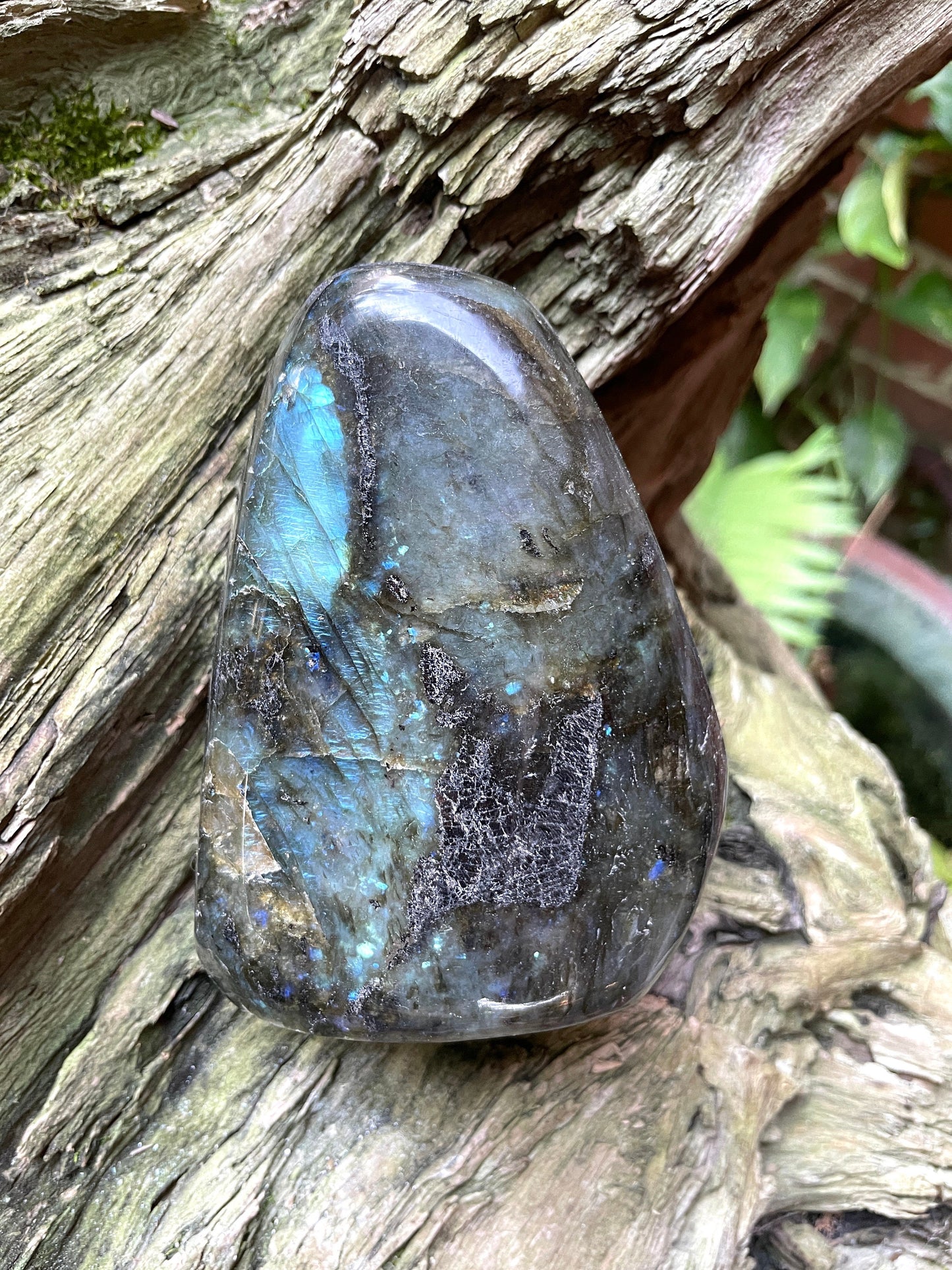 Large Polished Labradorite Freestanding Display Stone 778g 1lb 118.8oz Great Blue Flash