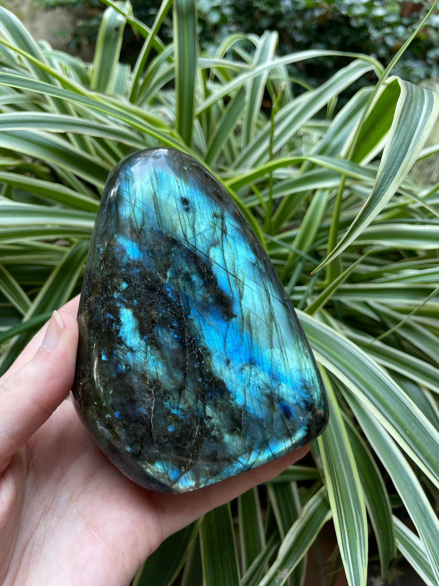 Large Polished Labradorite Freestanding Display Stone 778g 1lb 118.8oz Great Blue Flash
