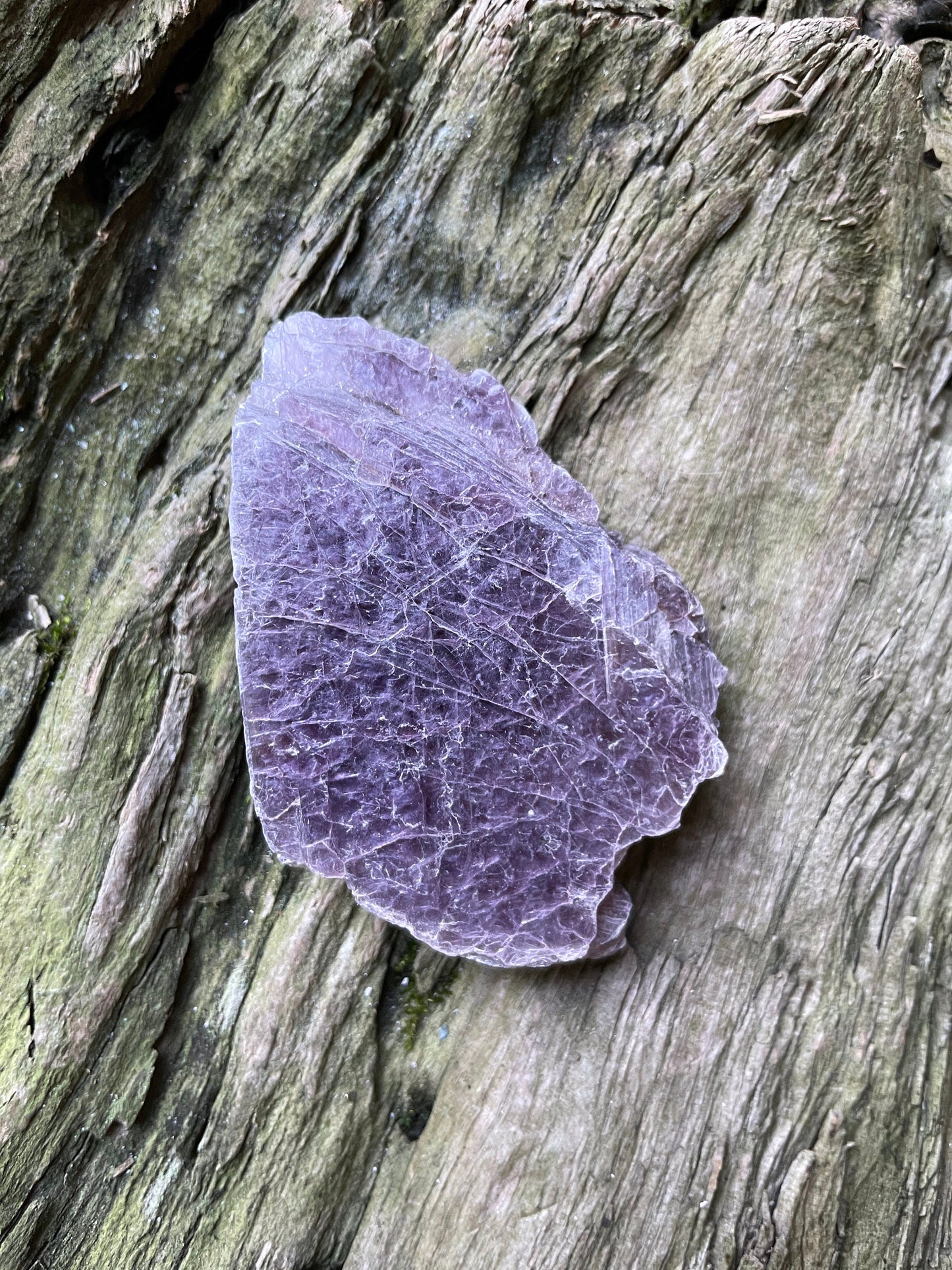Beautiful Raw Lepidolite Specimen From Minas Gerais Brazil 83.1g Lithium Mineral Crystal