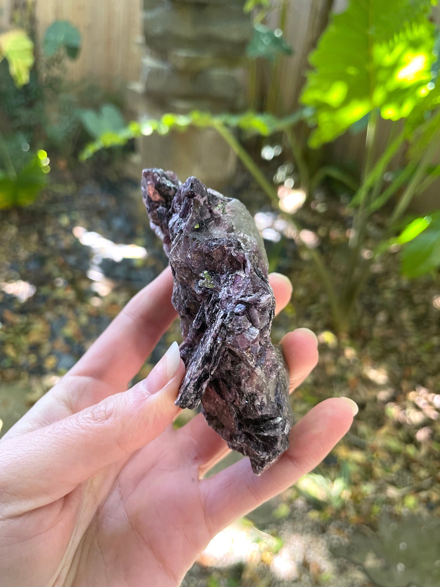 Beautiful Raw Lepidolite Specimen From Minas Gerais Brazil 216g Mineral Crystal Lithium