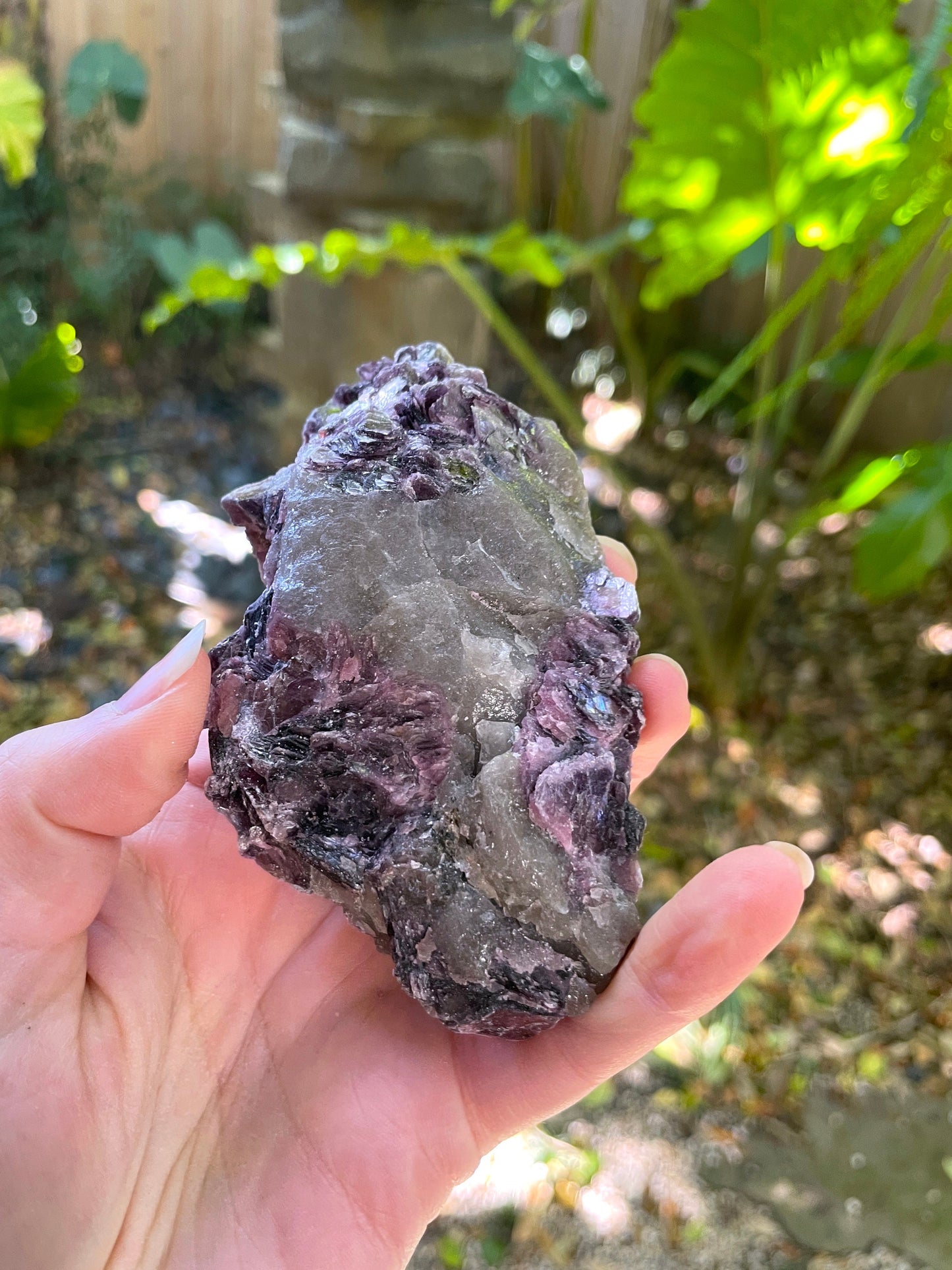 Beautiful Raw Lepidolite Specimen From Minas Gerais Brazil 216g Mineral Crystal Lithium