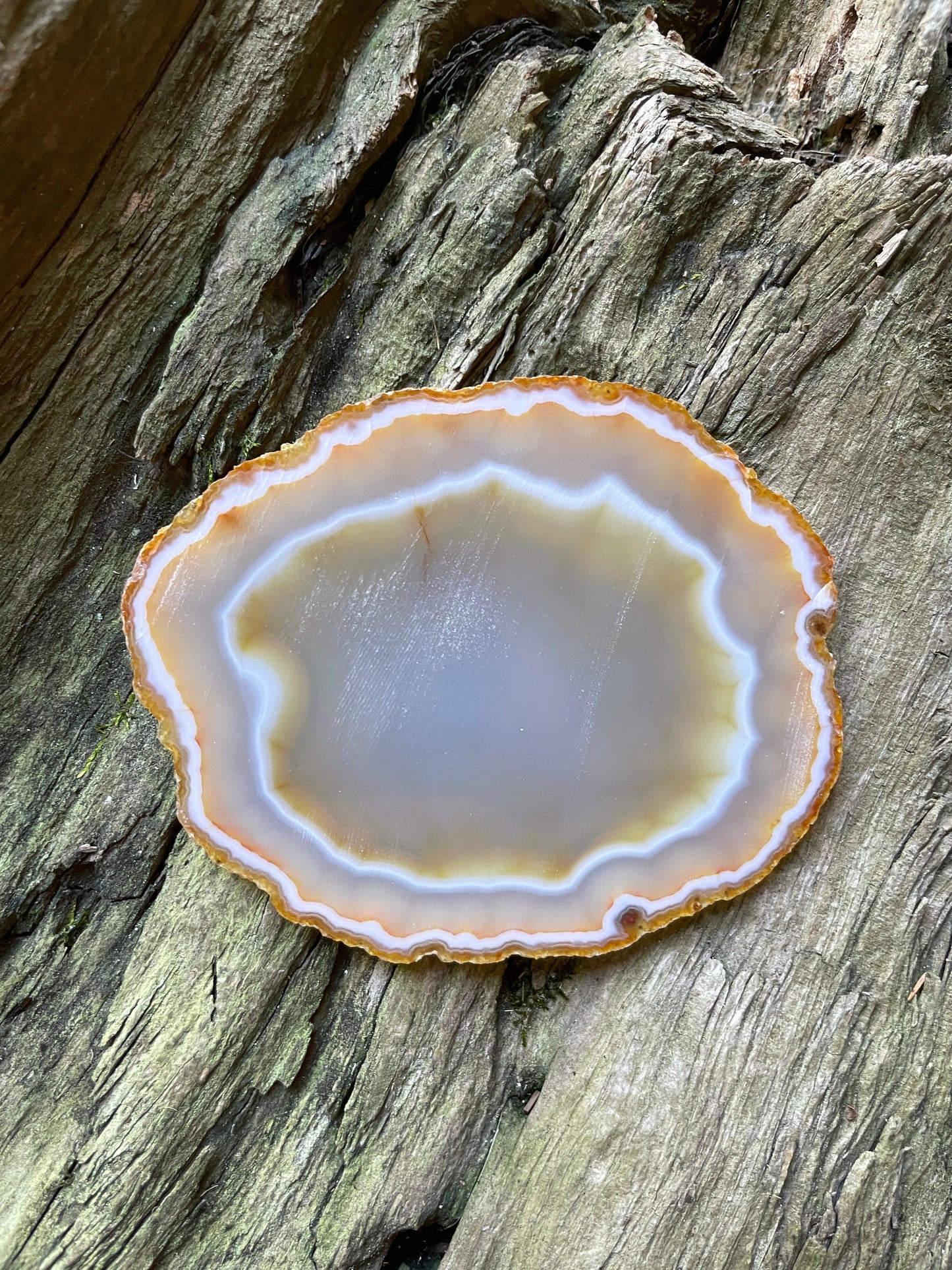 Beautiful Polished Cut Agate Slice Specimen 63.1g From Brazil