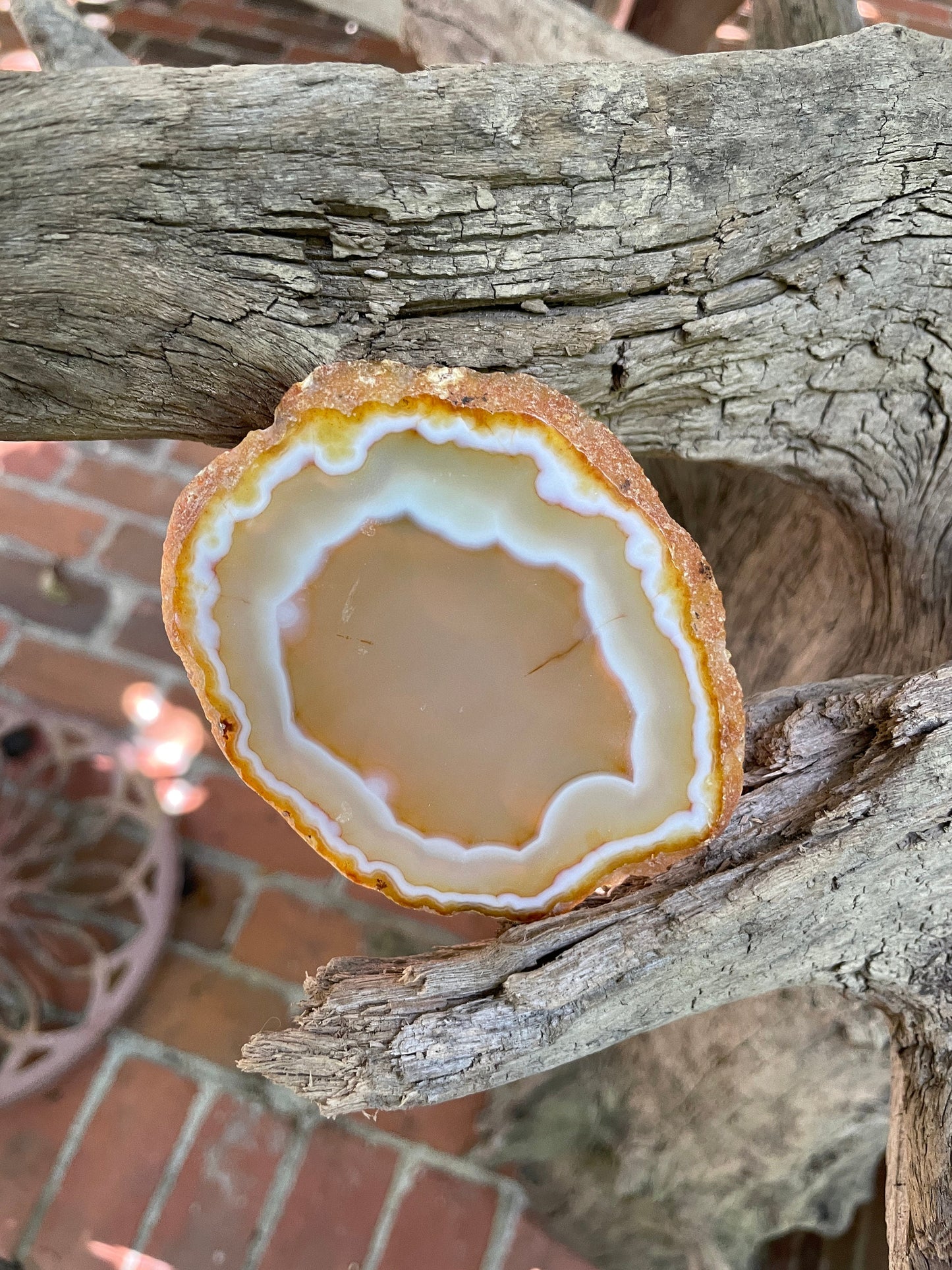 Beautiful Polished Cut Agate Slice Specimen 63.1g From Brazil