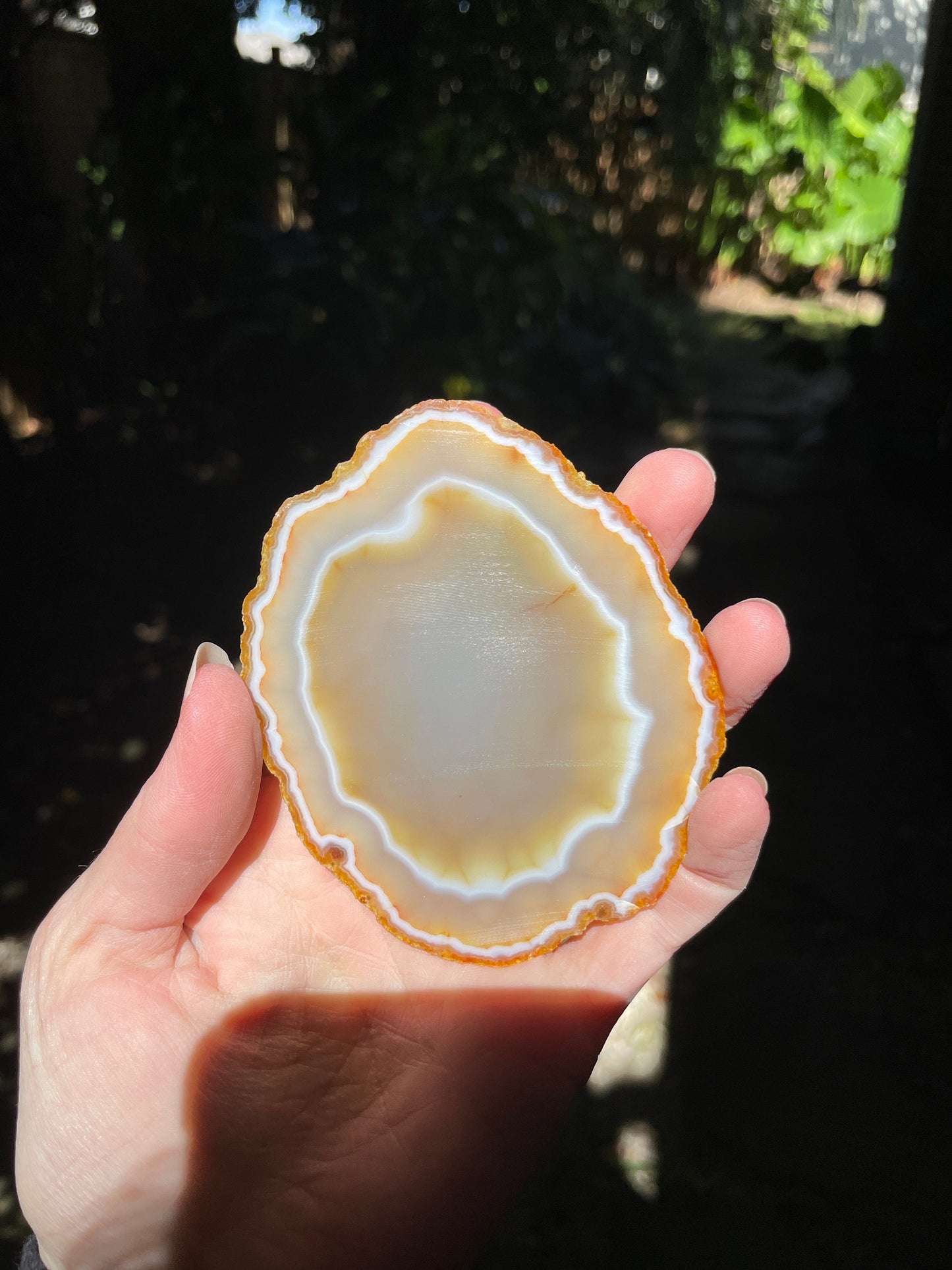 Beautiful Polished Cut Agate Slice Specimen 63.1g From Brazil