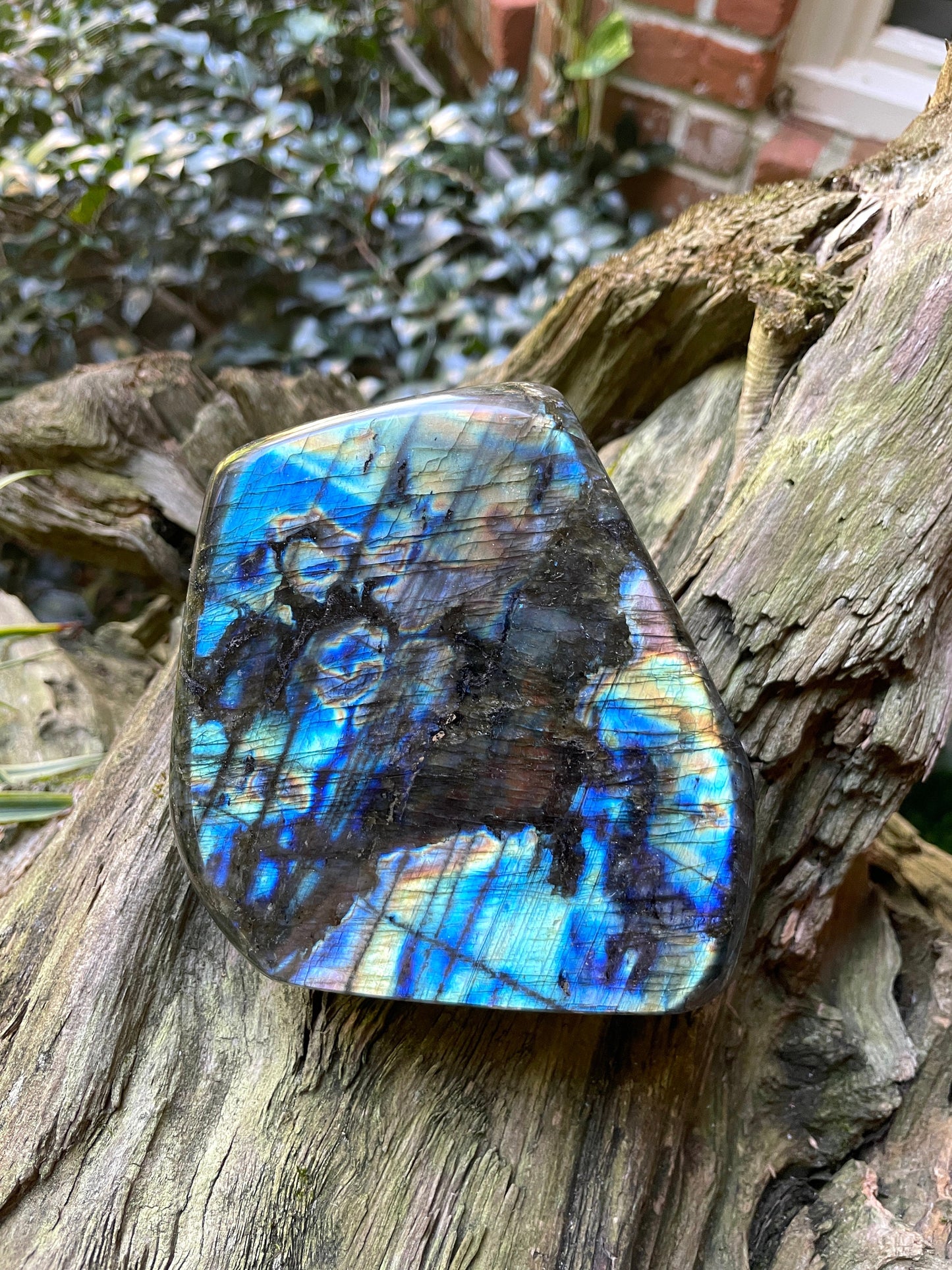 Polished Rainbow Labradorite Free Form 1104g 2lbs 6.9oz From Madagascar Mineral Crystal