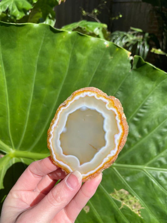 Beautiful Polished Cut Agate Slice Specimen 63.1g From Brazil
