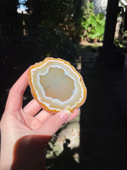 Beautiful Polished Cut Agate Slice Specimen 63.1g From Brazil
