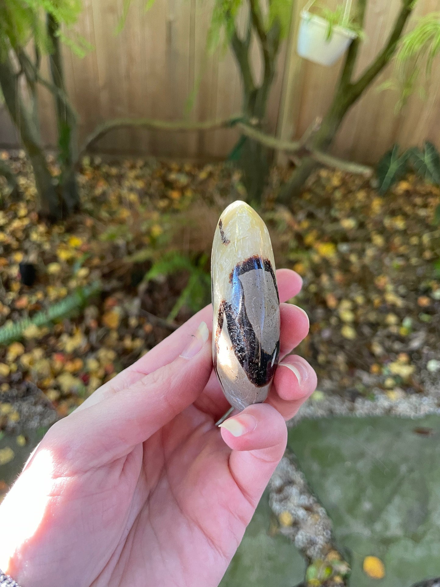 Lovely Large Septarian Calcite Palm Stone Madagascar 119.2g Specimen