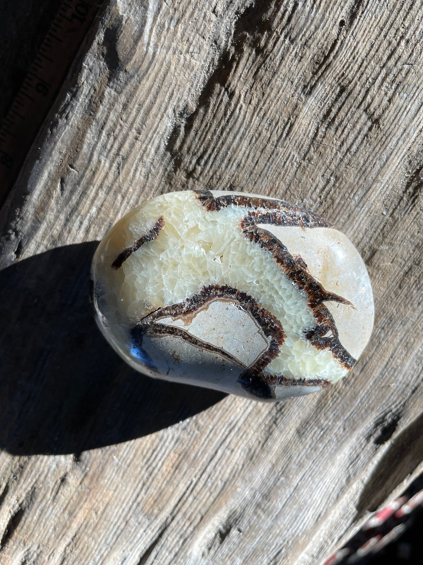 Lovely Large Septarian Calcite Palm Stone Madagascar 119.2g Specimen