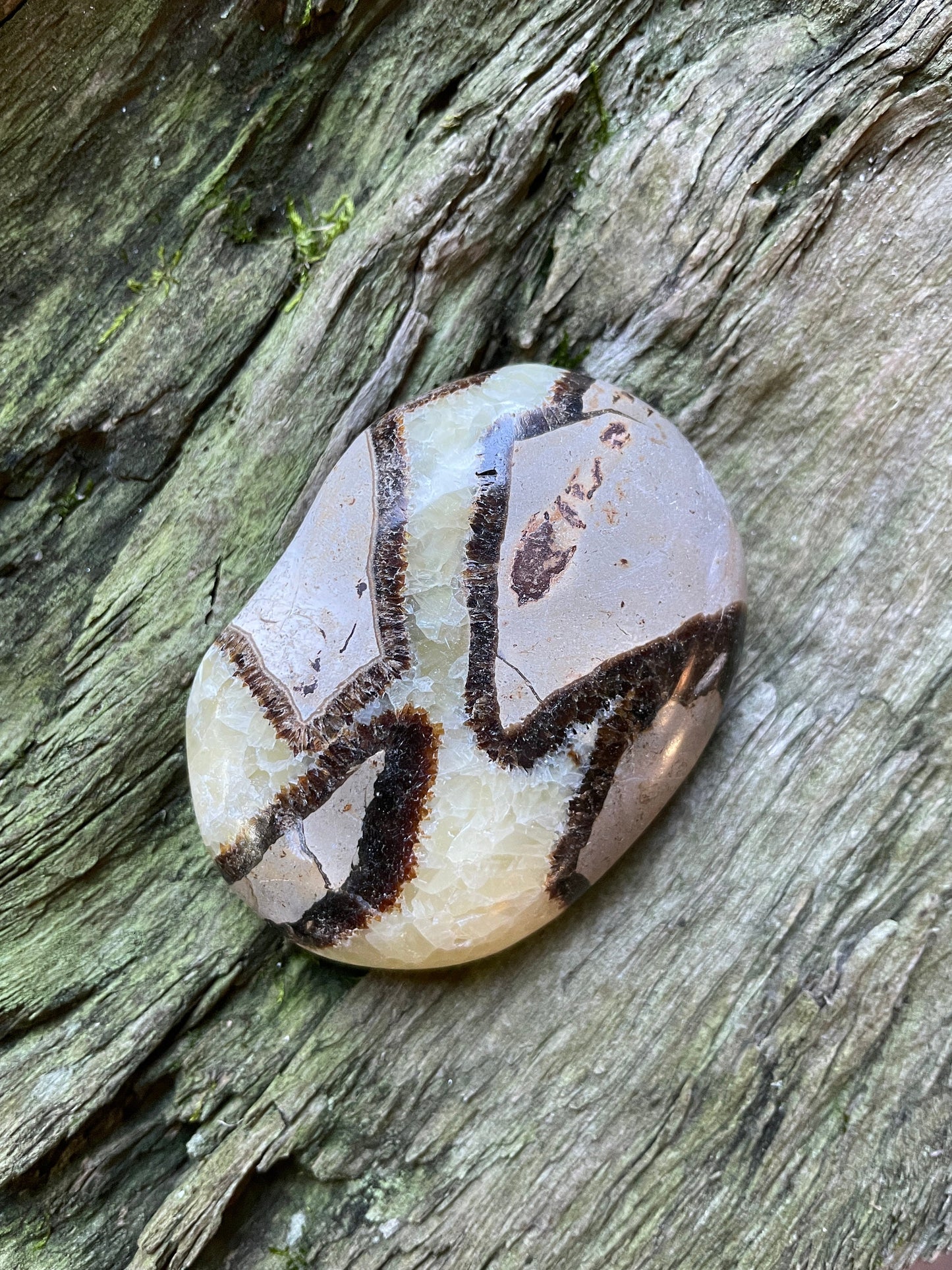 Lovely Large Septarian Calcite Palm Stone Madagascar 119.2g Specimen