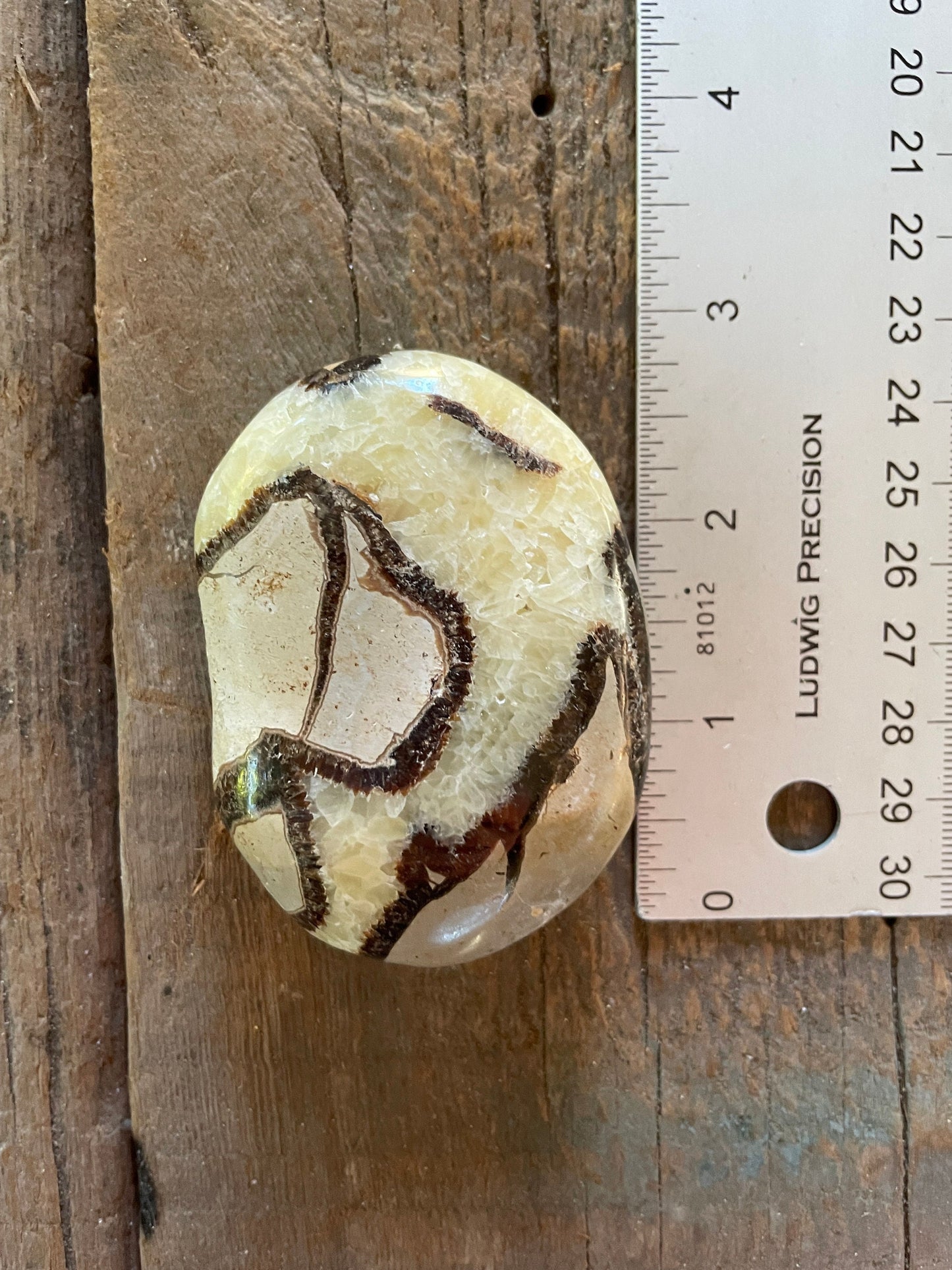 Lovely Large Septarian Calcite Palm Stone Madagascar 119.2g Specimen