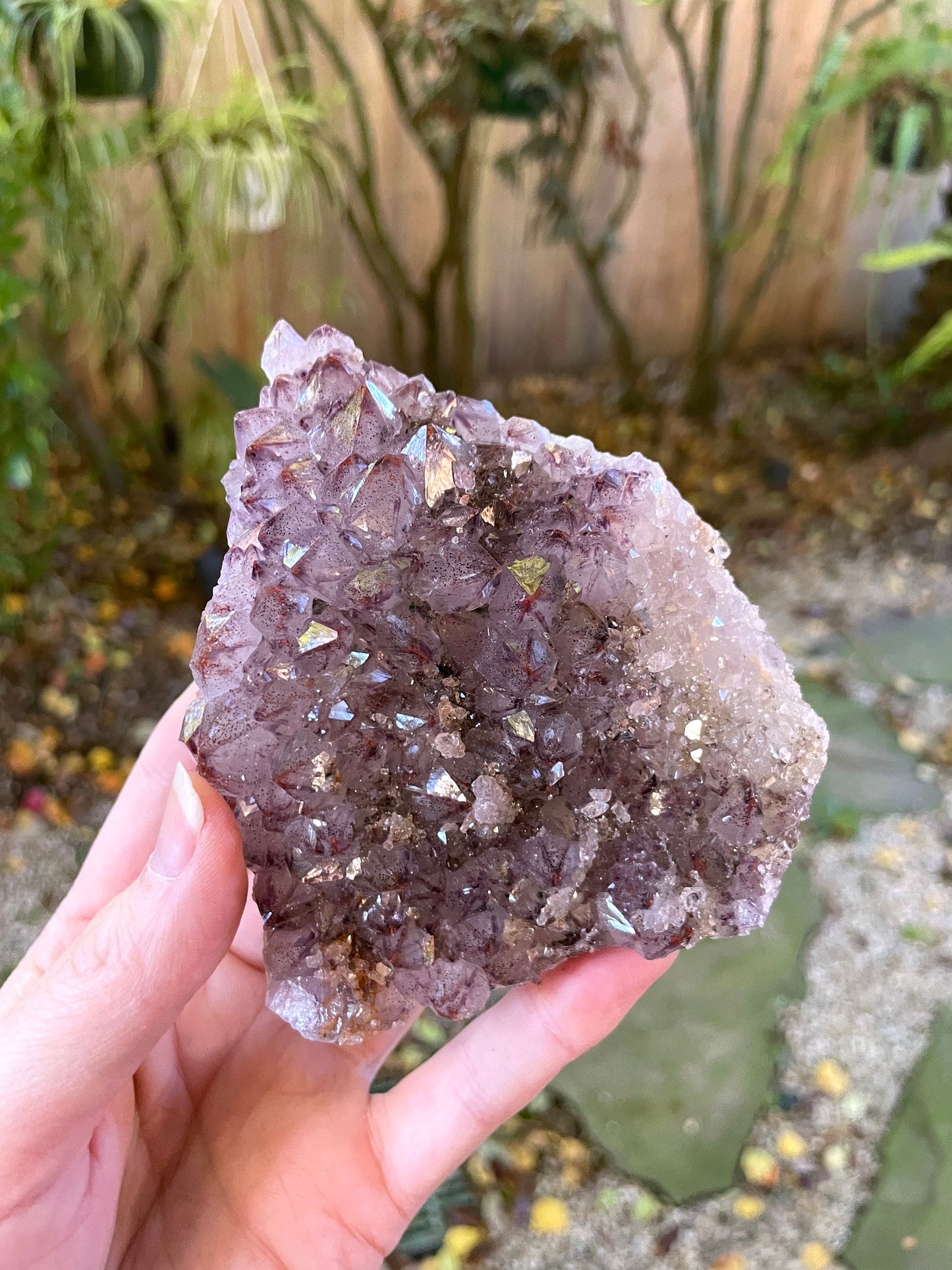 Thunder Bay Amethyst Ontario Canada 288g Specimen Amethyst with Hematite Mineral Crystal