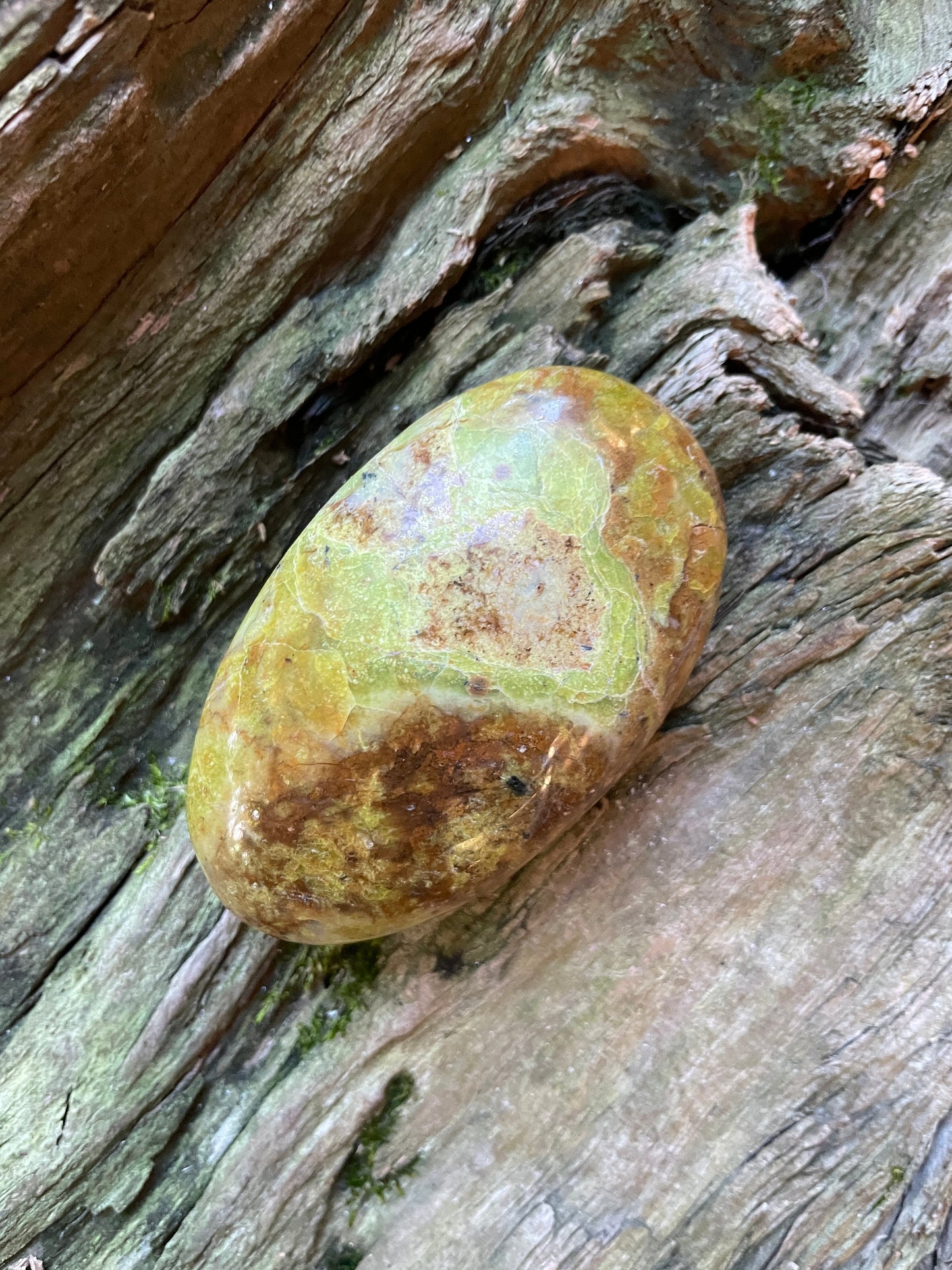 Polished Green Opal Palm Stone From Madagascar, Specimen 130.9g Mineral Crystal