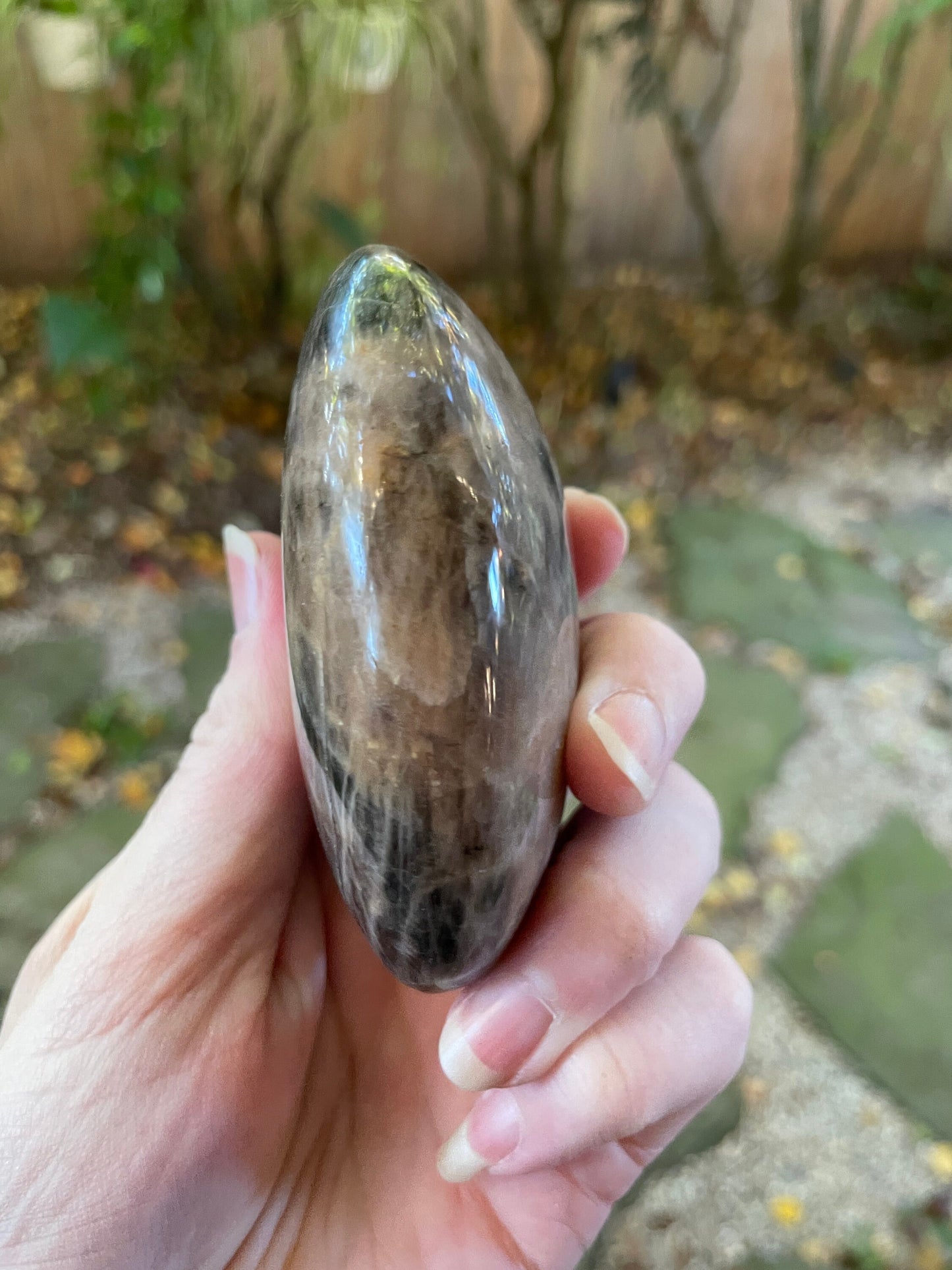 Black Moonstone Palm Stone Gallete 248g Specimen From Madagascar Mineral Crystal