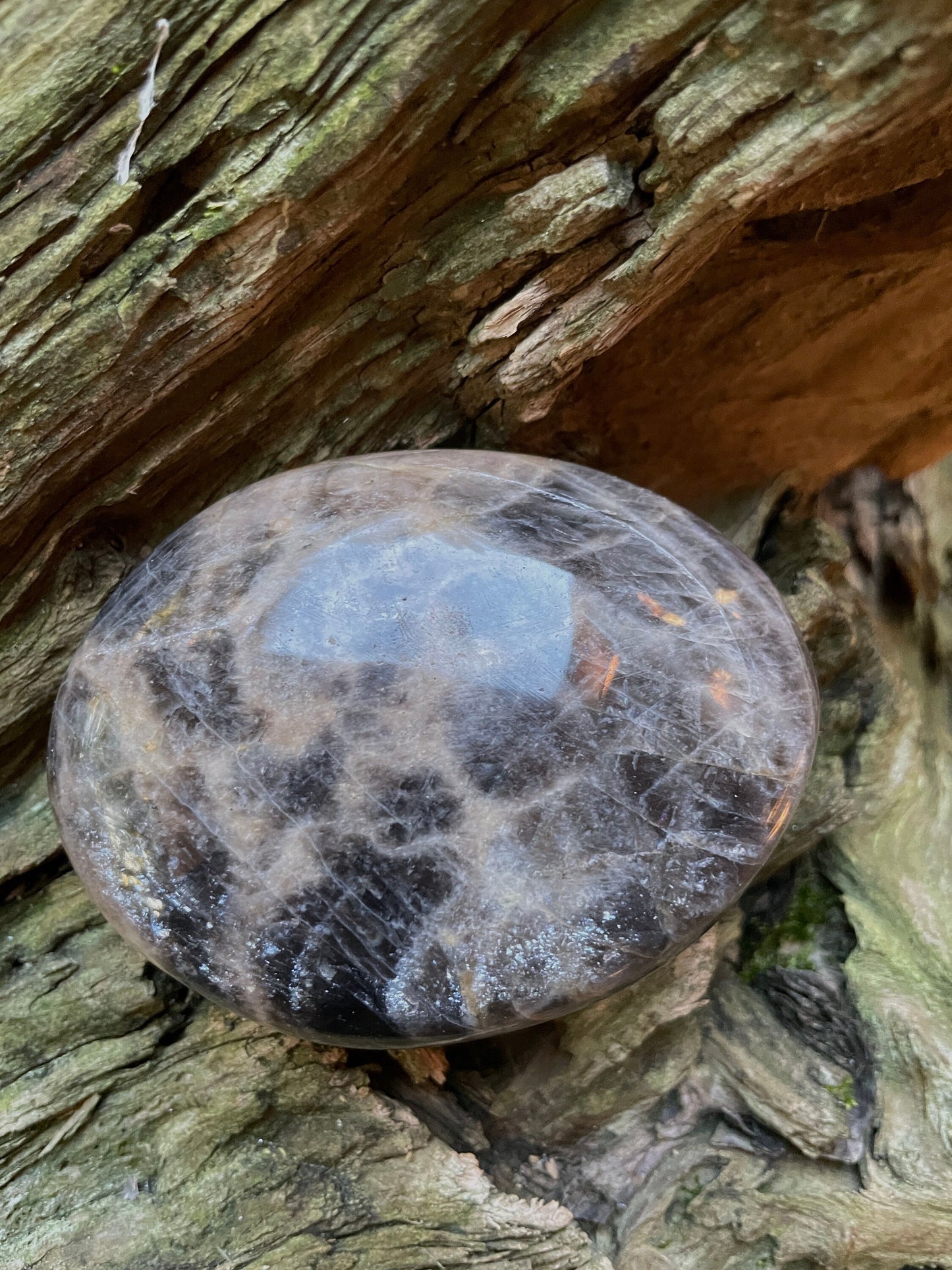 Black Moonstone Palm Stone Gallete 248g Specimen From Madagascar Mineral Crystal