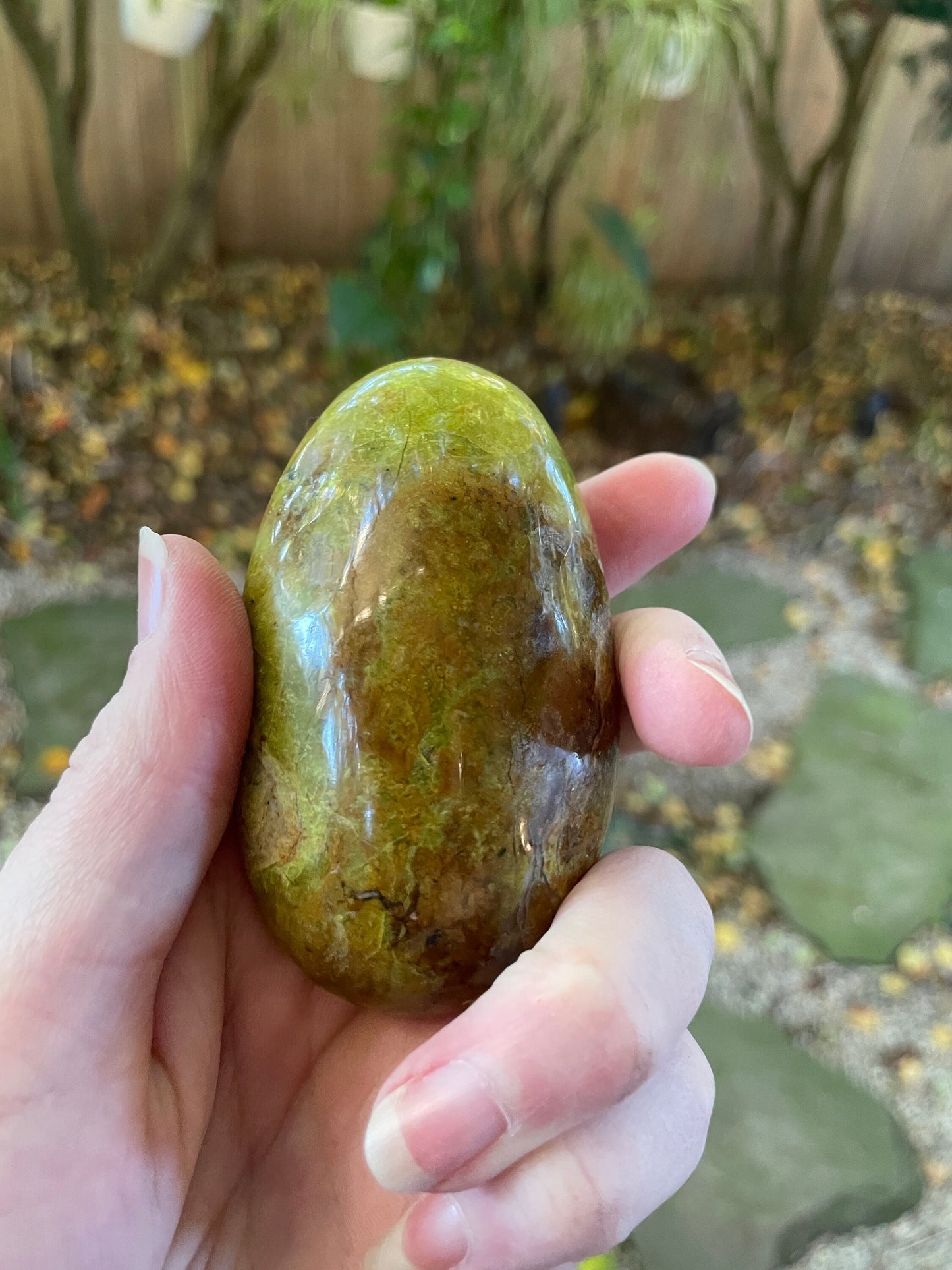 Polished Green Opal Palm Stone From Madagascar, Specimen 130.9g Mineral Crystal