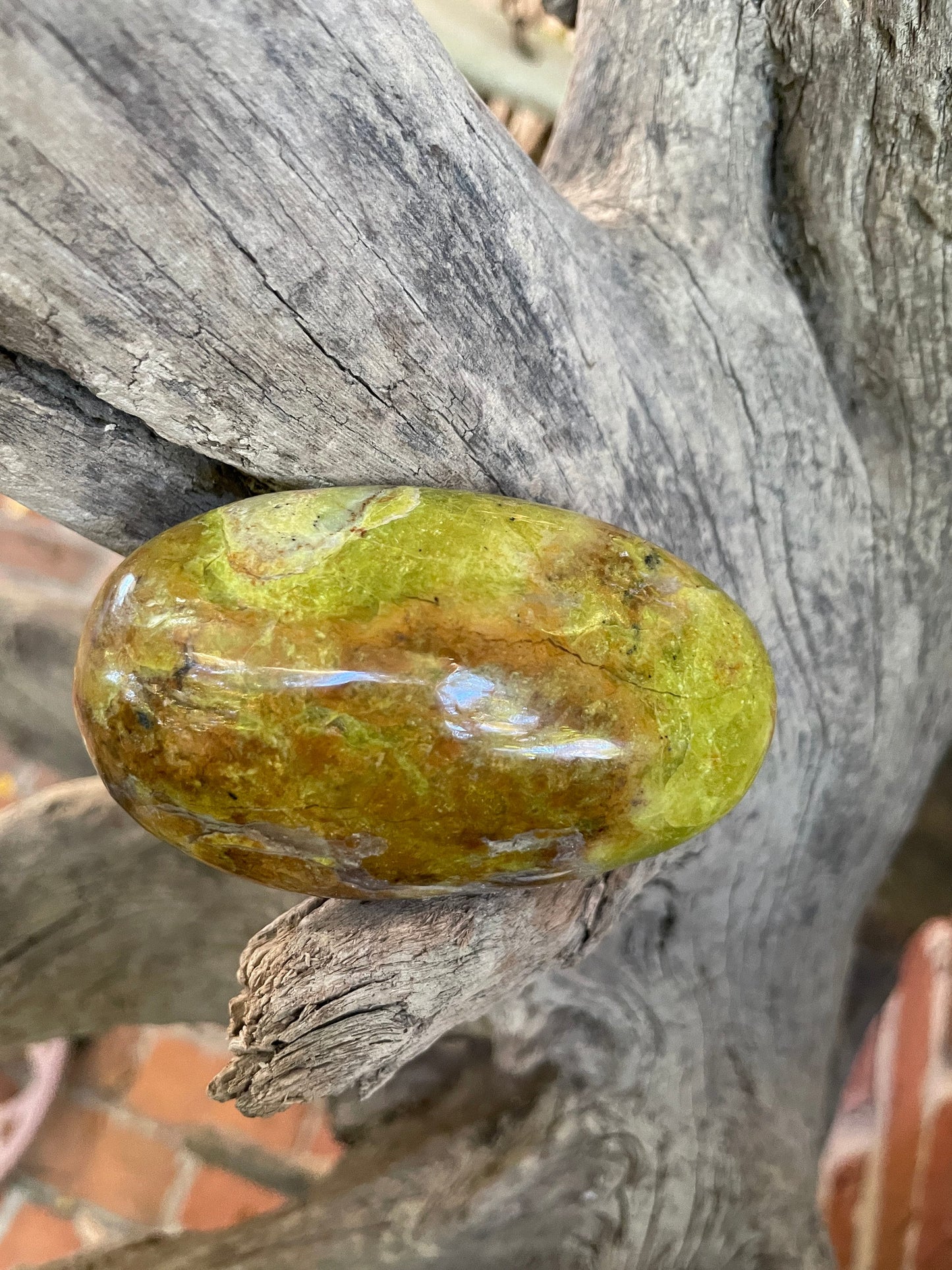 Polished Green Opal Palm Stone From Madagascar, Specimen 130.9g Mineral Crystal