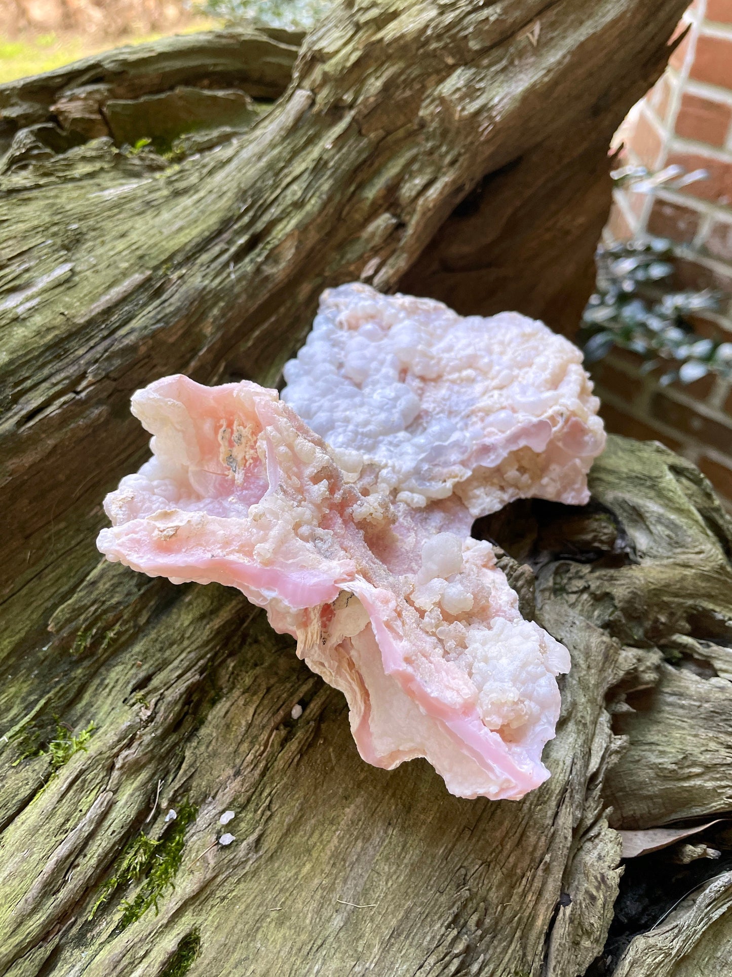 Rare Beautiful Botryoidal Natural Pink Opal from Ica, Peru Specimen 338g Mineral Crystal