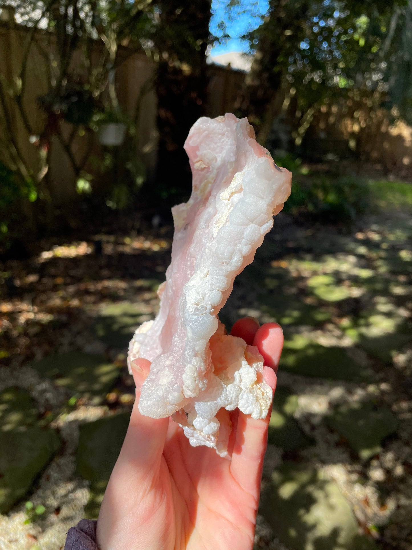 Rare Beautiful Botryoidal Natural Pink Opal from Ica, Peru Specimen 338g Mineral Crystal