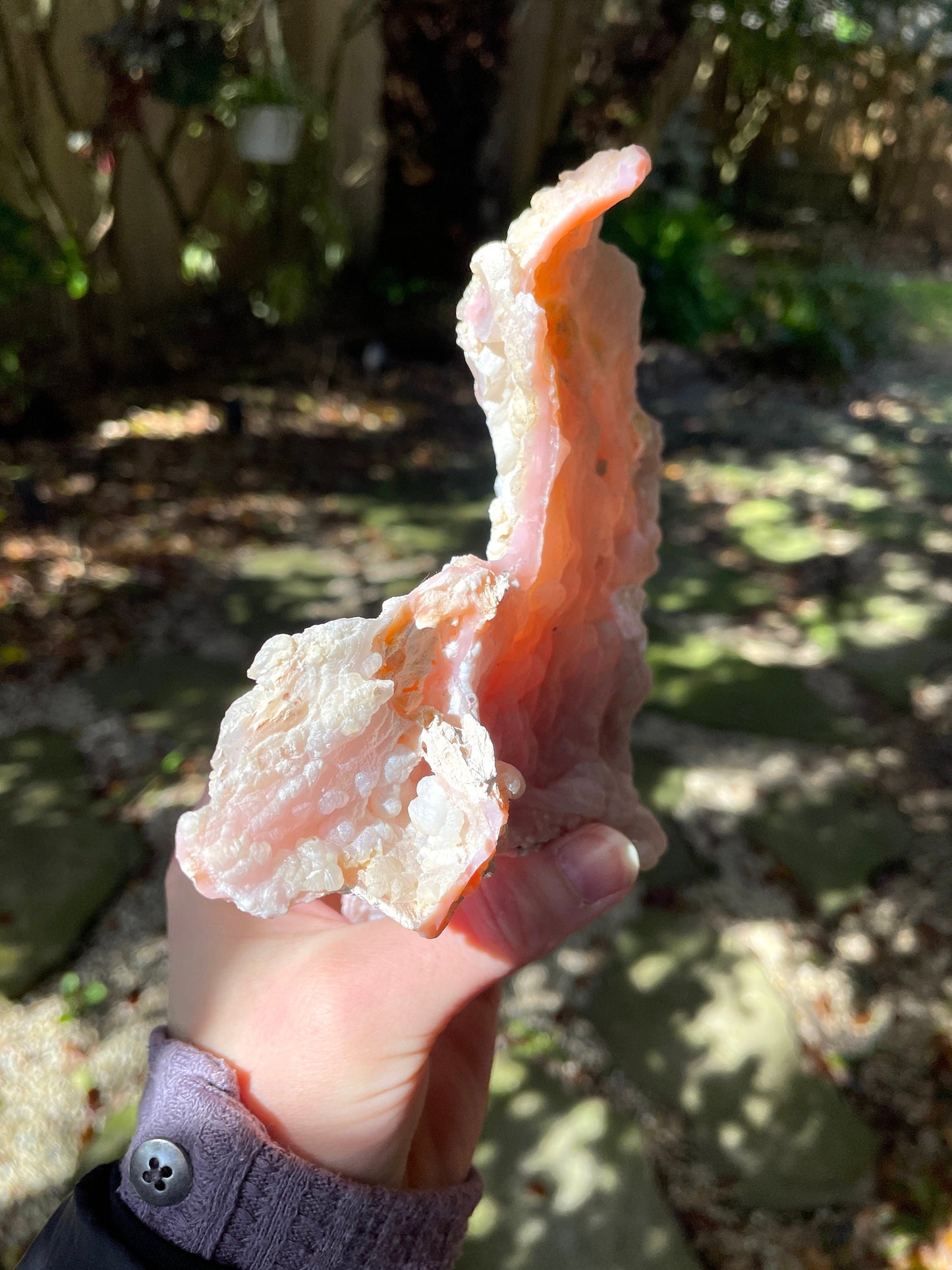 Rare Beautiful Botryoidal Natural Pink Opal from Ica, Peru Specimen 338g Mineral Crystal