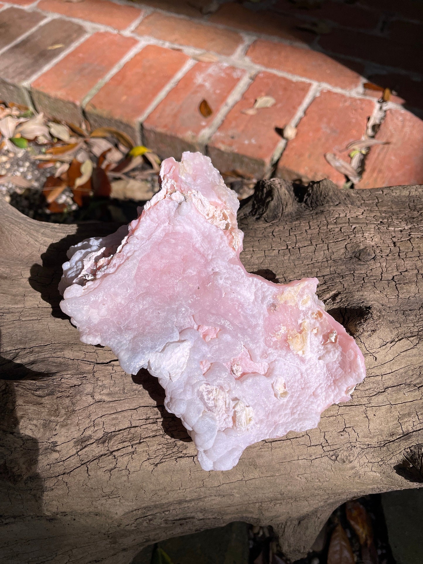 Rare Beautiful Botryoidal Natural Pink Opal from Ica, Peru Specimen 338g Mineral Crystal
