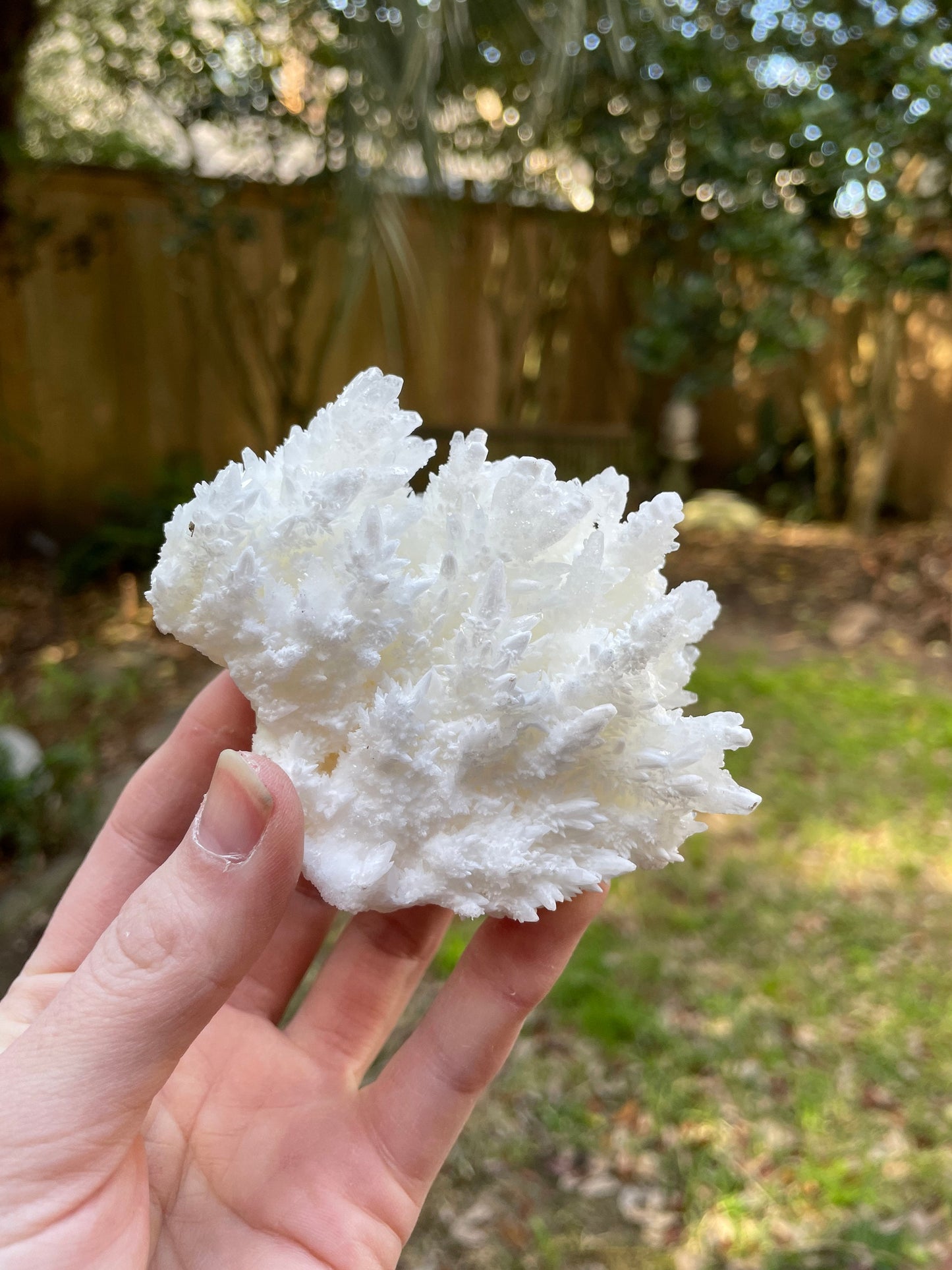 Aragonite Cave Calcite From Mexico 296.6g Specimen Crystals Minerals