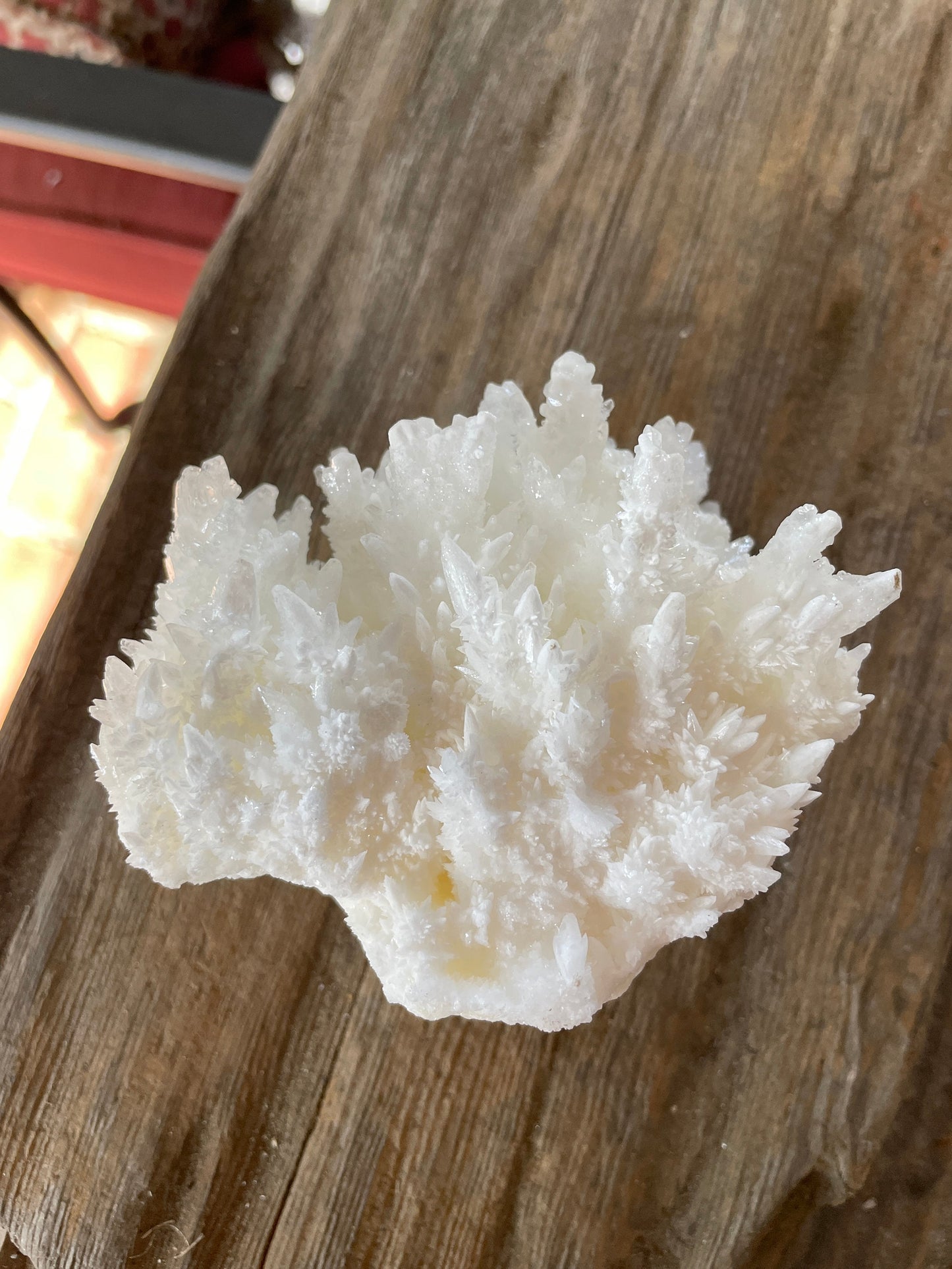 Aragonite Cave Calcite From Mexico 296.6g Specimen Crystals Minerals