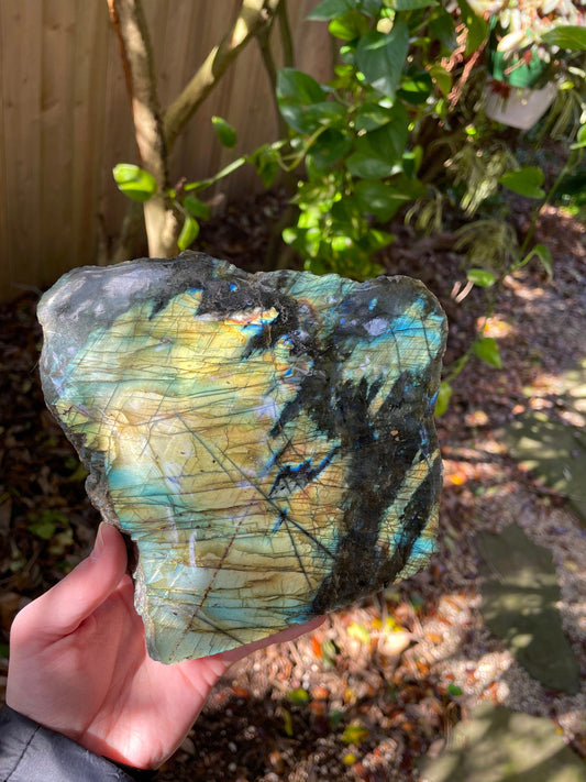 Large Half Polished Polished Labradorite Free Form 1614g 3lbs 8.9oz From Madagascar Great Flash