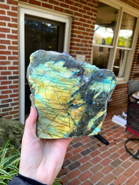 Large Half Polished Polished Labradorite Free Form 1614g 3lbs 8.9oz From Madagascar Great Flash