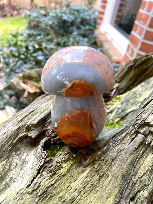 Polychrome Jasper Mushroom 395gg Specimen From Madagascar Mineral Crystal