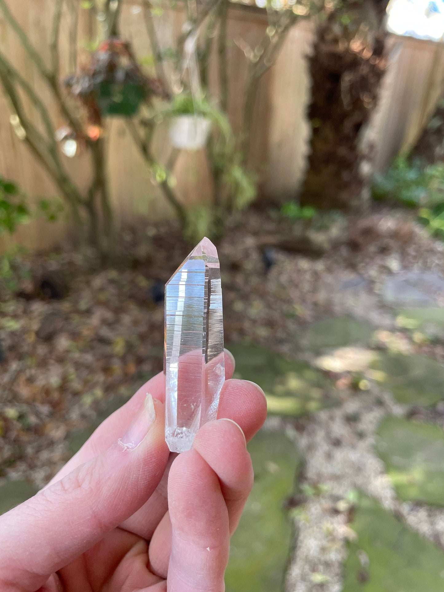 Stunning Columbian Lemurian Optical Quartz Point 20.2g Specimen Mineral Crystal