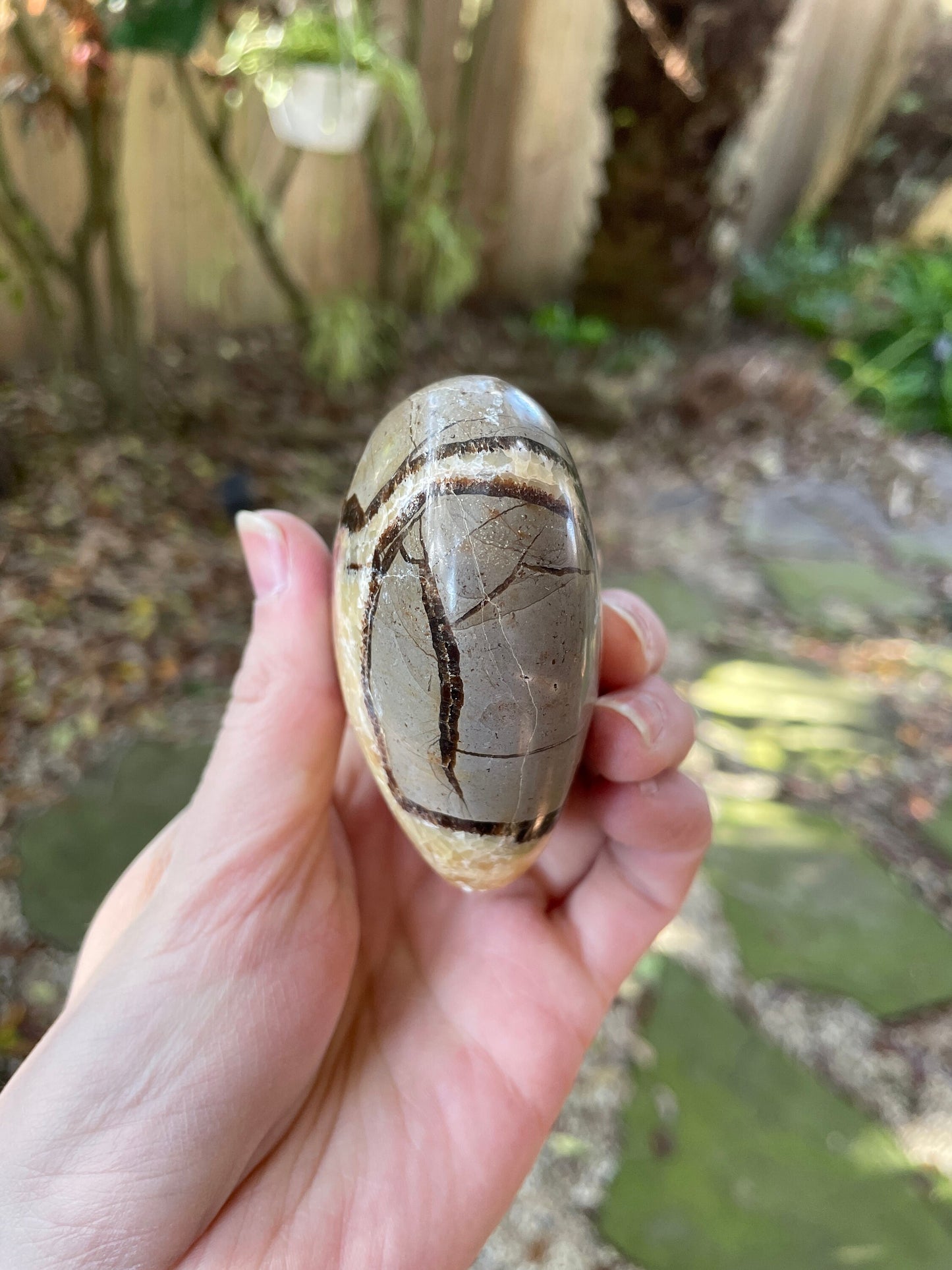 Lovely Septarian Calcite Polished Heart Stone Madagascar 257.7g Specimen