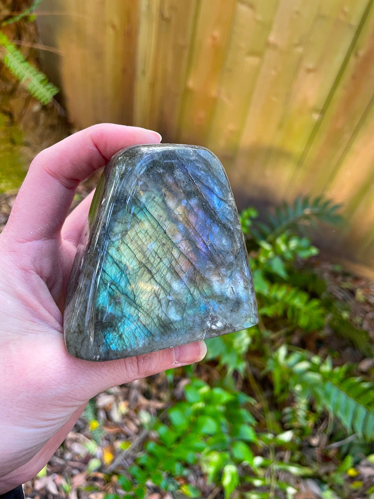 Polished Rainbow Labradorite Free Form 454g From Madagascar Mineral Crystal