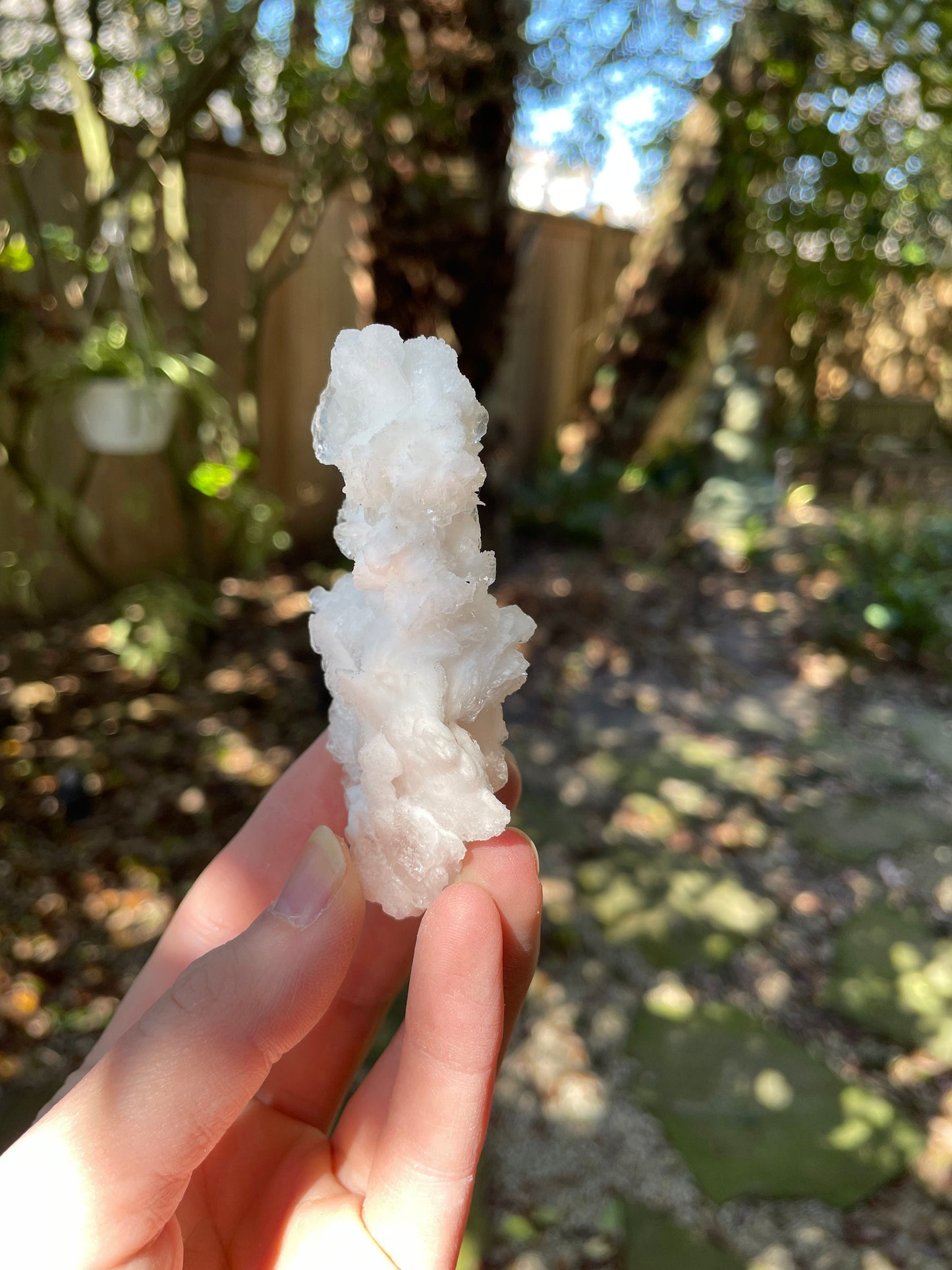 Aragonite Cave Calcite From Mexico 60g Specimen Crystals Minerals