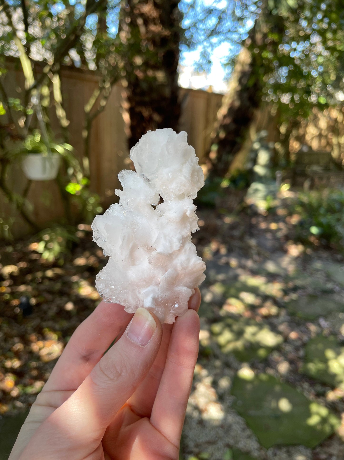 Aragonite Cave Calcite From Mexico 60g Specimen Crystals Minerals