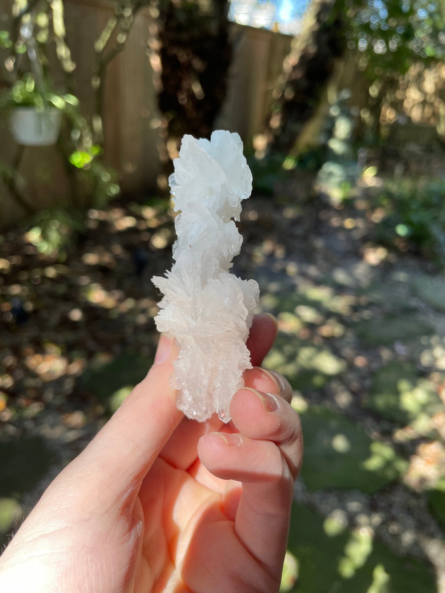 Aragonite Cave Calcite From Mexico 60g Specimen Crystals Minerals