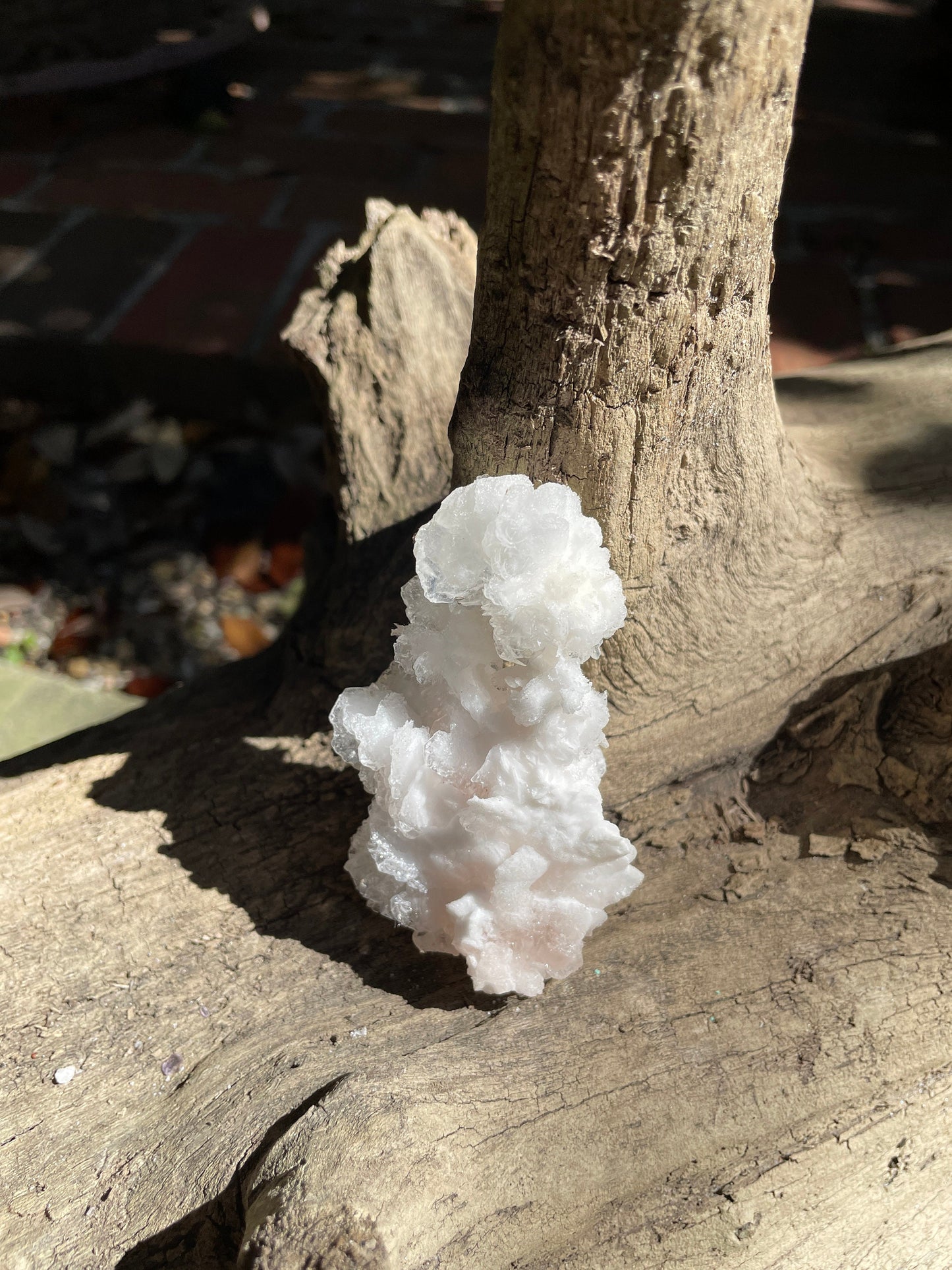 Aragonite Cave Calcite From Mexico 60g Specimen Crystals Minerals