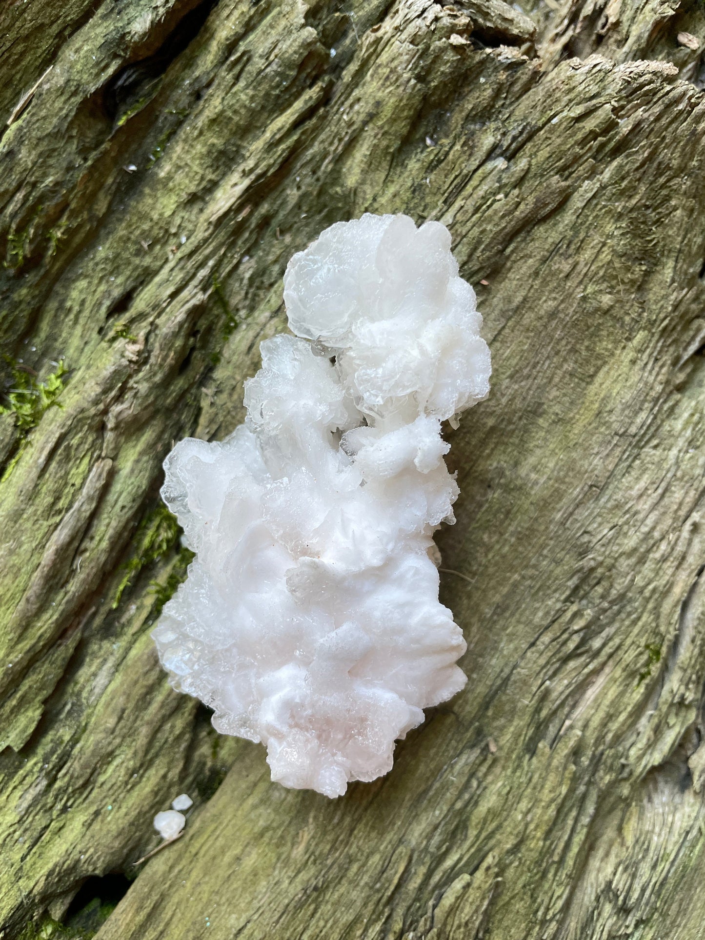 Aragonite Cave Calcite From Mexico 60g Specimen Crystals Minerals