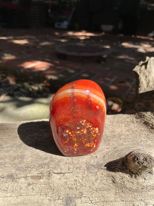 Small Carnelian Free Form Specimen 289.7g From Madagascar Specimen Crystal