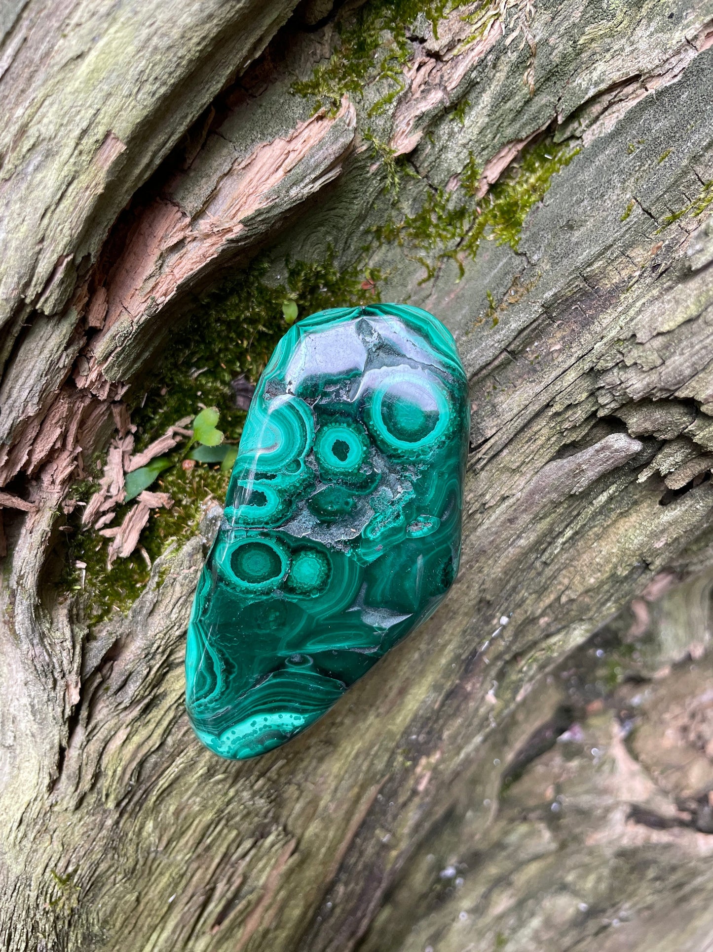 Lovely Polished Malachite Specimen from The Congo 82.3g Mineral Crystal